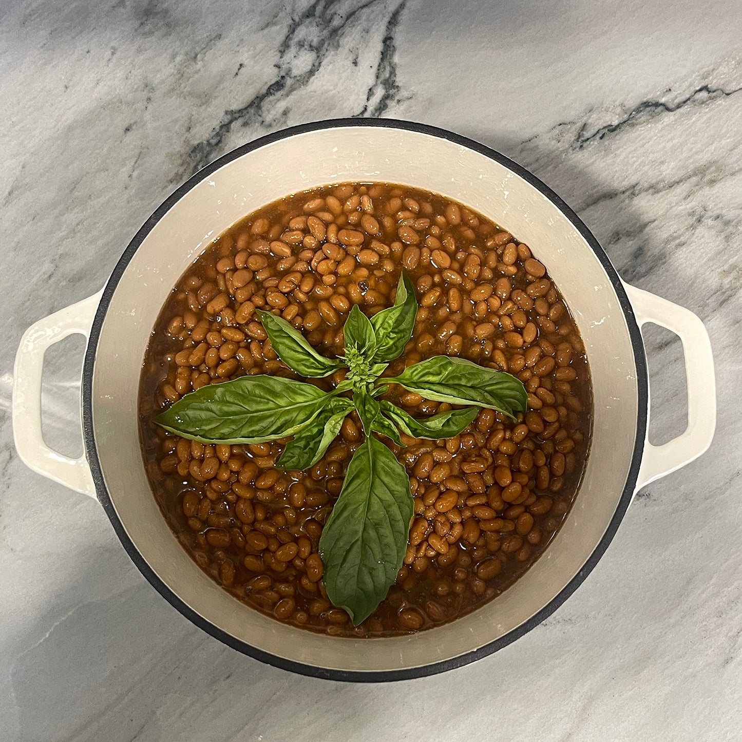 Lexi Home - Olla para horno holandesa esmaltada de hierro fundido con tapa, 2.8 cuartos de galón, sartén, servidor de pasta, olla superior de estufa, plato para pan de masa madre, pollo de cocción