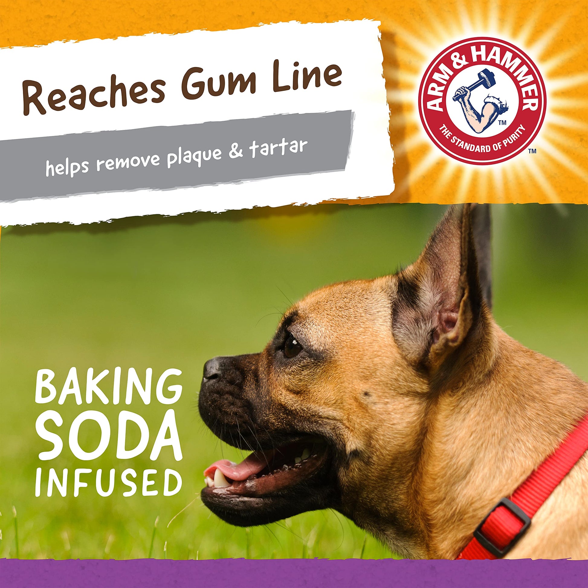 Arm & Hammer, Juguete para Perro Mini Cocodrilo de 5.2"