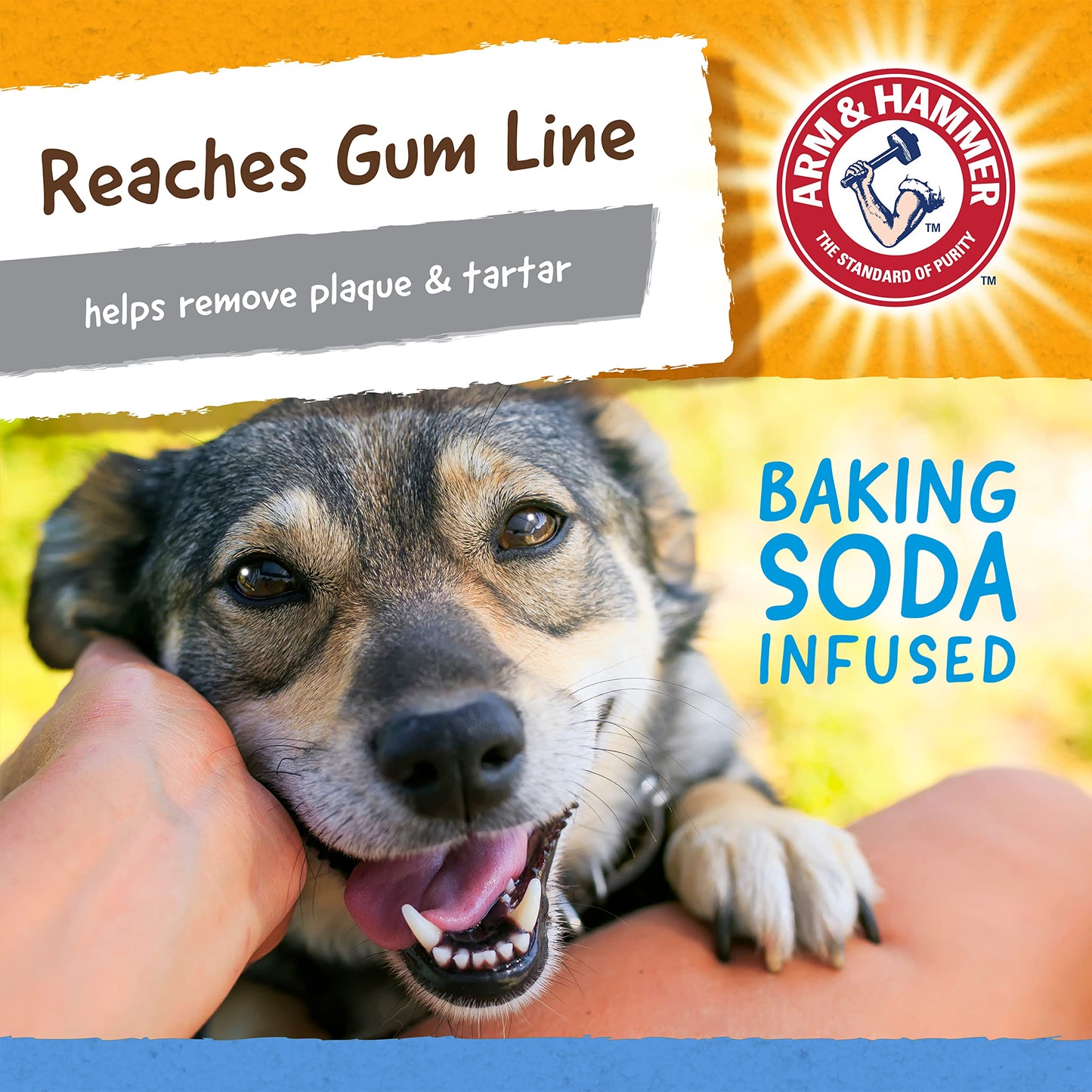 Arm & Hammer for Pets Nubbies TriBone Dog Dental Toy| Best Dog Chew Toy for Moderate Chewers | Dog Dental Toy Helps Reduce Plaque & Tartar | Peanut Butter Flavor Baking Soda