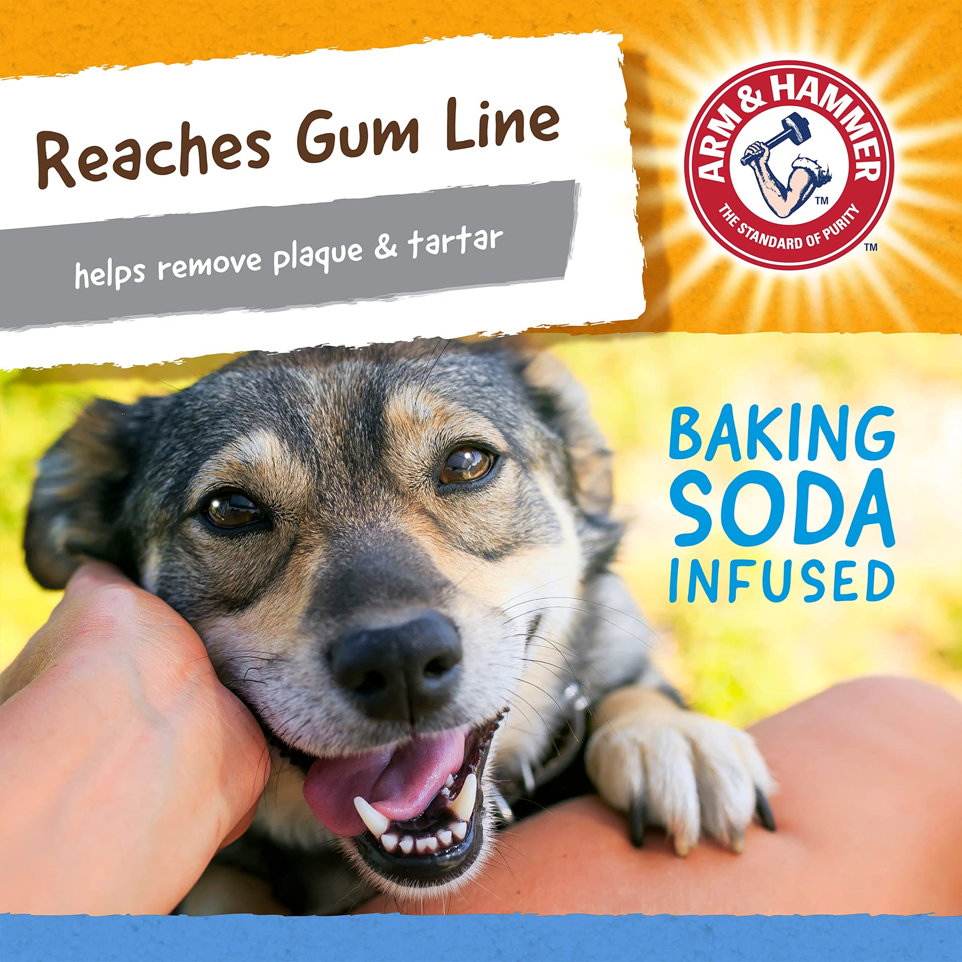 Arm & Hammer for Pets Nubbies TriBone Dog Dental Toy| Best Dog Chew Toy for Moderate Chewers | Dog Dental Toy Helps Reduce Plaque & Tartar | Peanut Butter Flavor Baking Soda