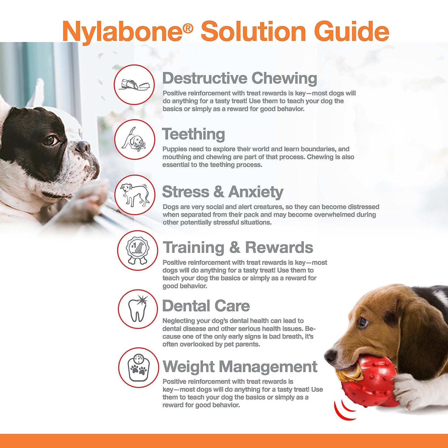 Juguete Masticable Nylabone Sabor Frenzy Grande Gigante para Perros, Paquete Doble
