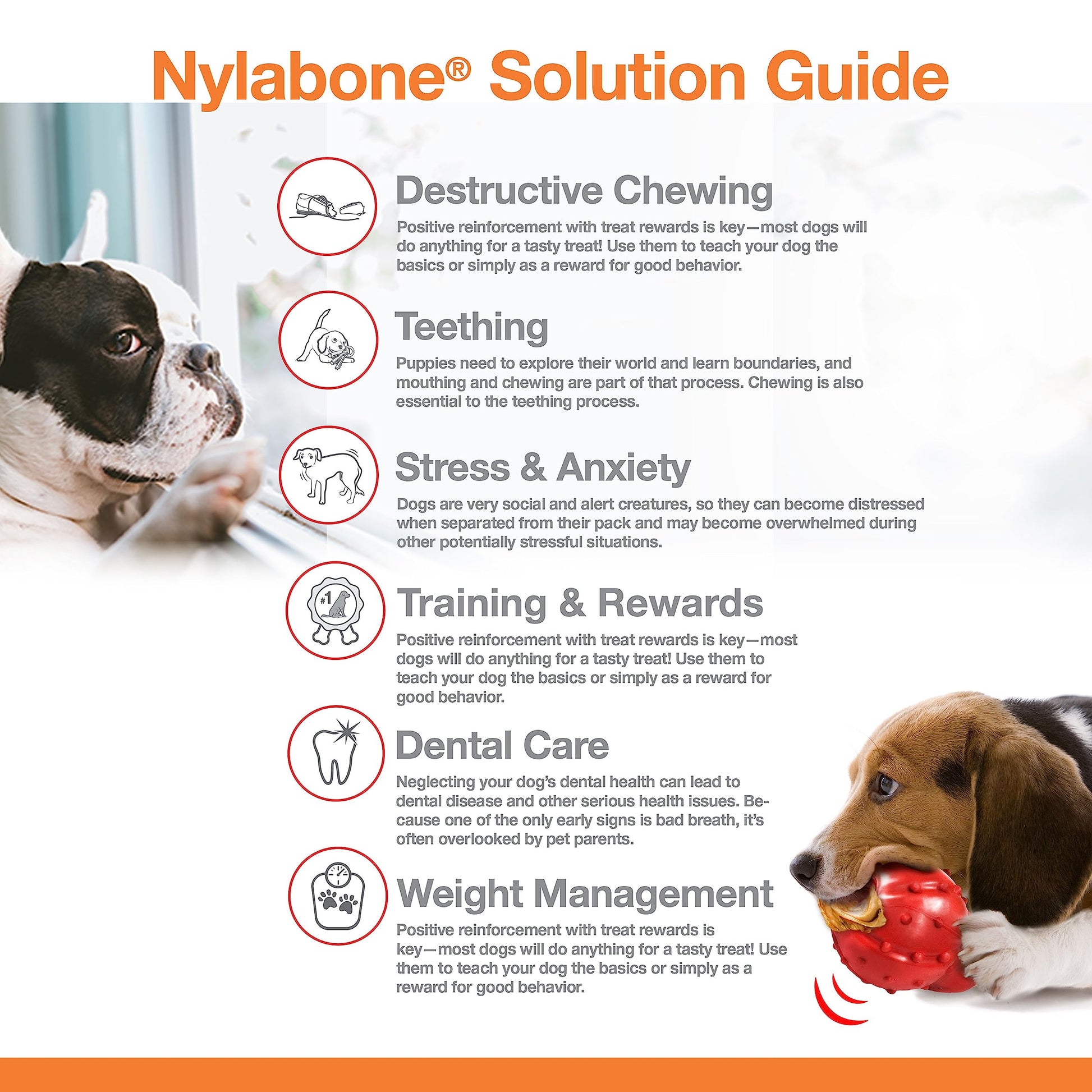 Juguete Masticable Nylabone Sabor Frenzy Grande Gigante para Perros, Paquete Doble