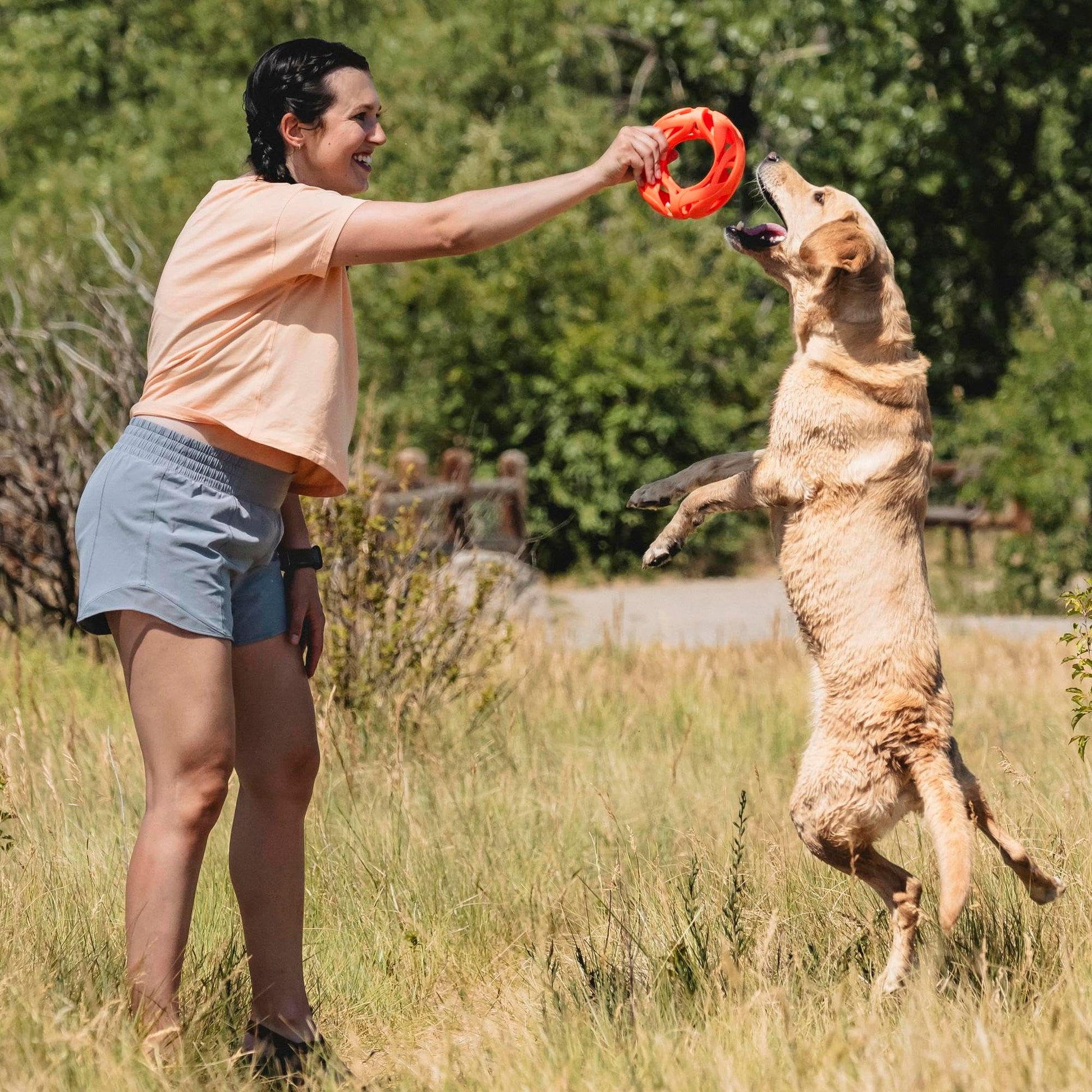 Chuckit! Breathe Right Fetch Wheel Doy Juguete