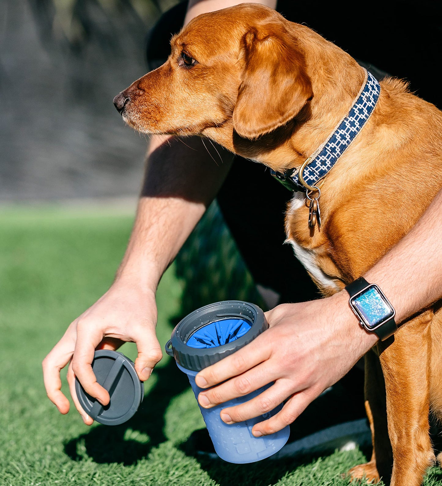Dexas Lidded MudBuster - Limpiador portátil para Patas de Perro, Mediano, Color Azul