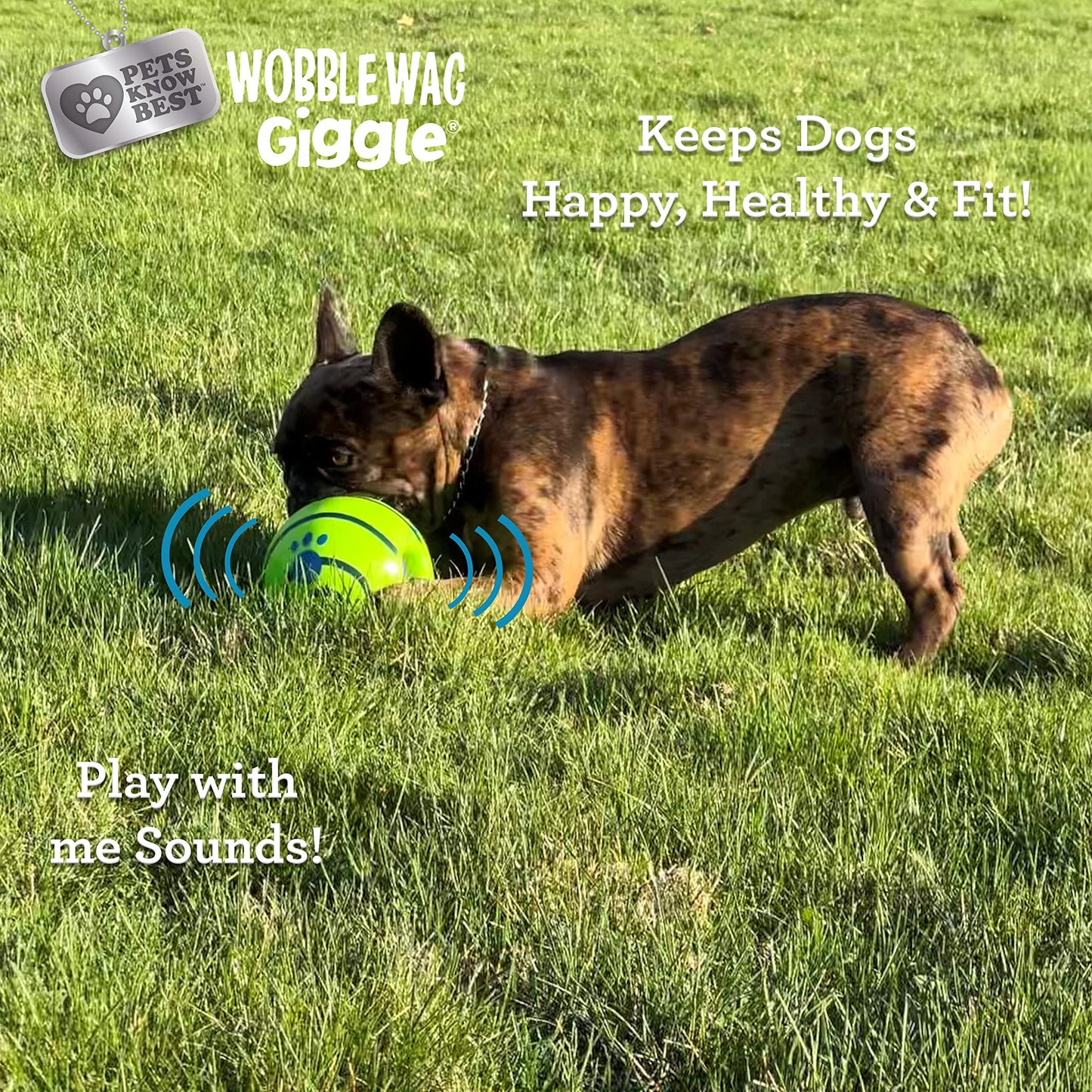 Pelota Interactiva Wobble Wag Giggle Verde con Sonidos de Risita para Perros