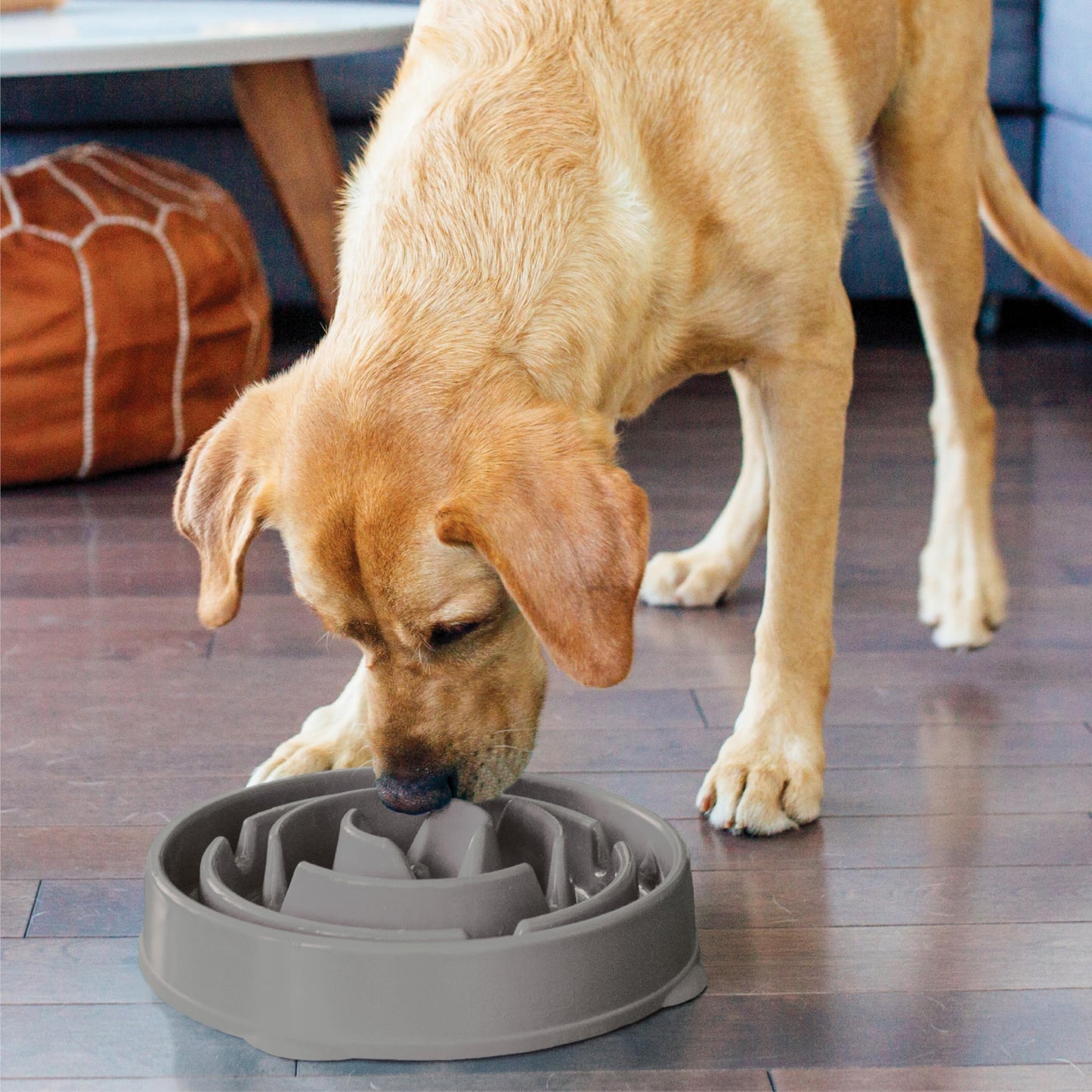 Comedero Antivoracidad Outward Hound Turquesa Grande para Perros