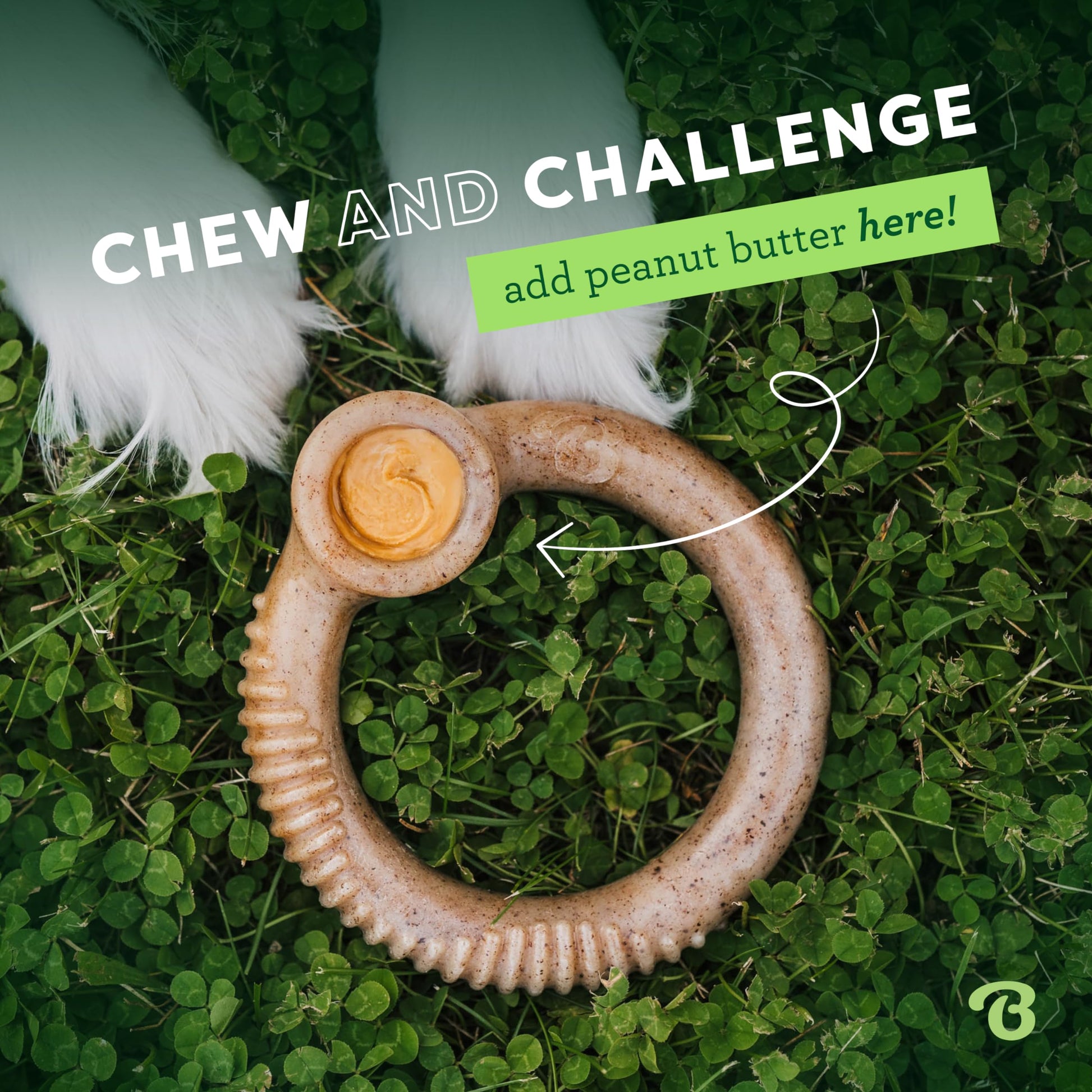 Benebone Ring - Juguete masticable Duradero para Perros masticables agresivos, Tocino Real, Fabricado en Estados Unidos, pequeño