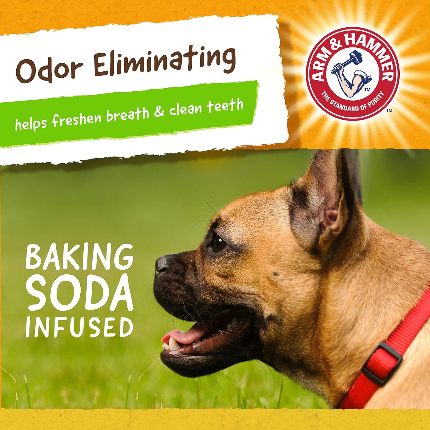 Arm & Hammer, Juguete para Perro Limpia Dientes Reduce Sarro