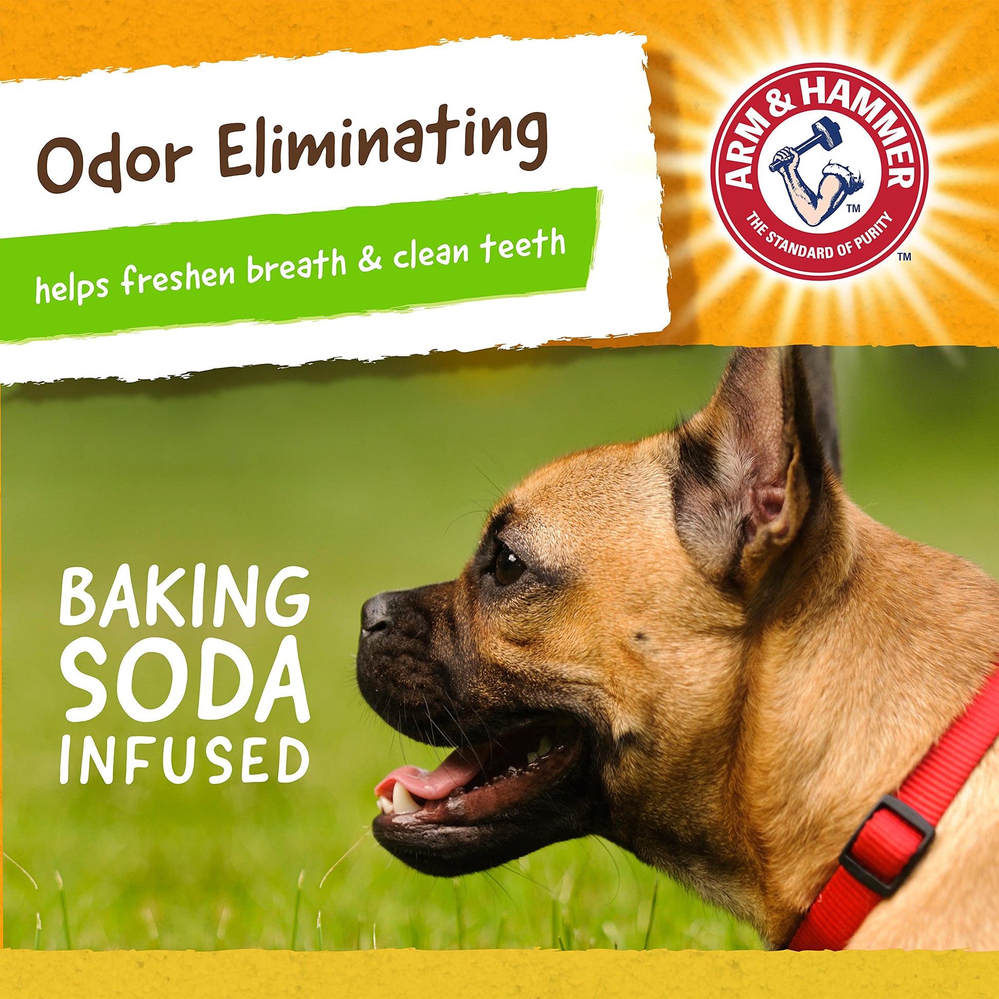 Arm & Hammer, Juguete para Perro Limpia Dientes Reduce Sarro