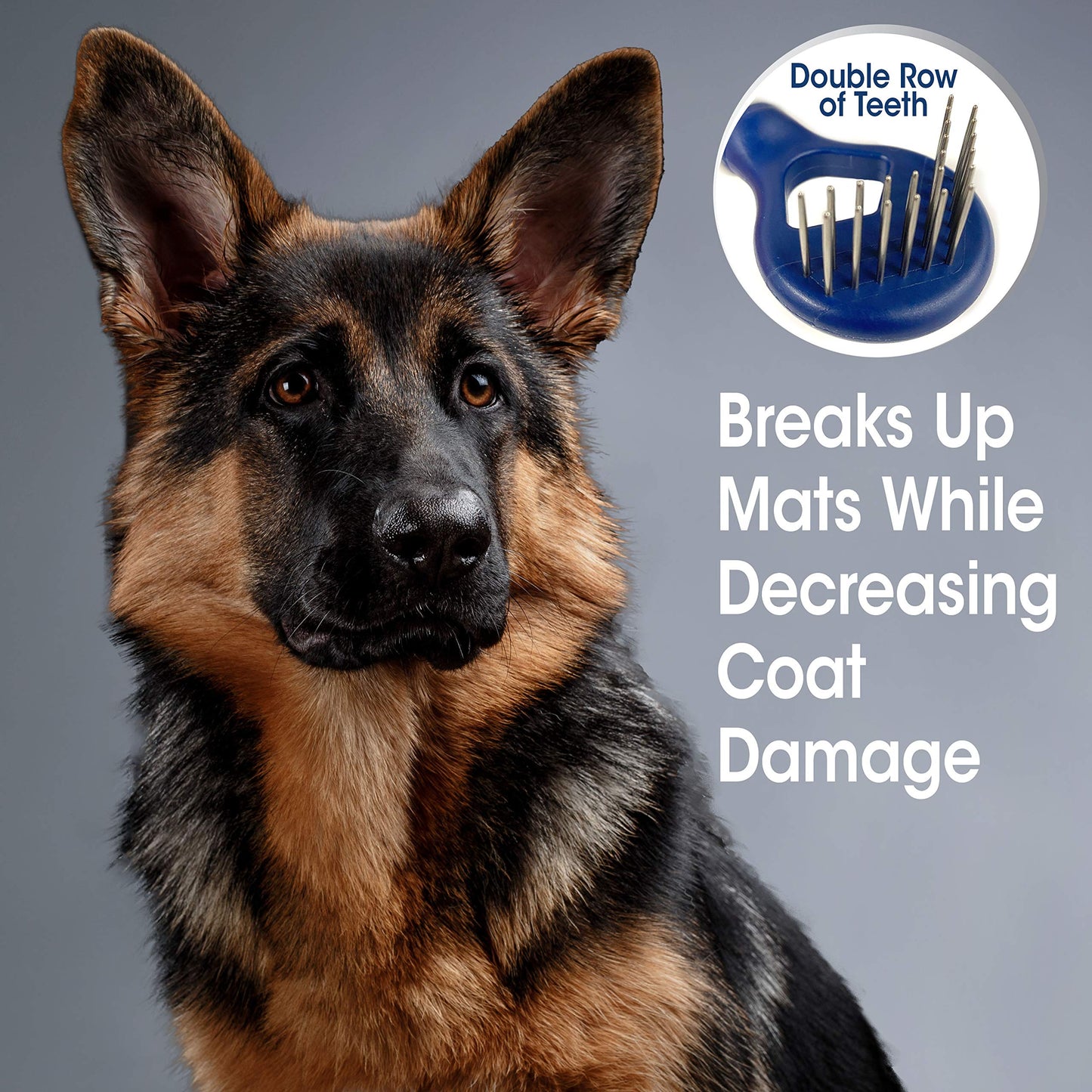 Four Paws Magic Coat Professional Series Herramientas de aseo para mascotas, recortadoras, cortauñas y cepillos