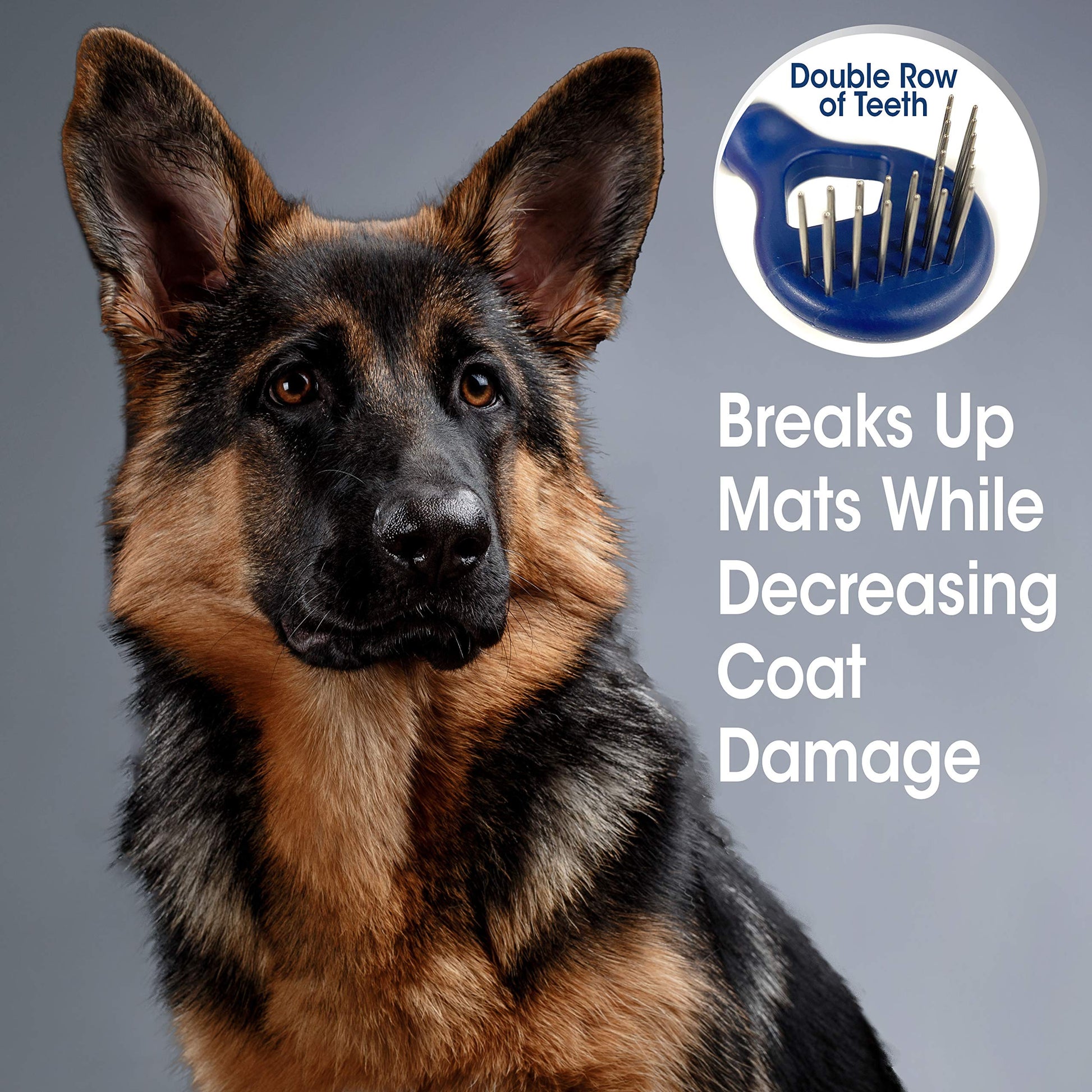 Four Paws Magic Coat Professional Series Herramientas de aseo para mascotas, recortadoras, cortauñas y cepillos