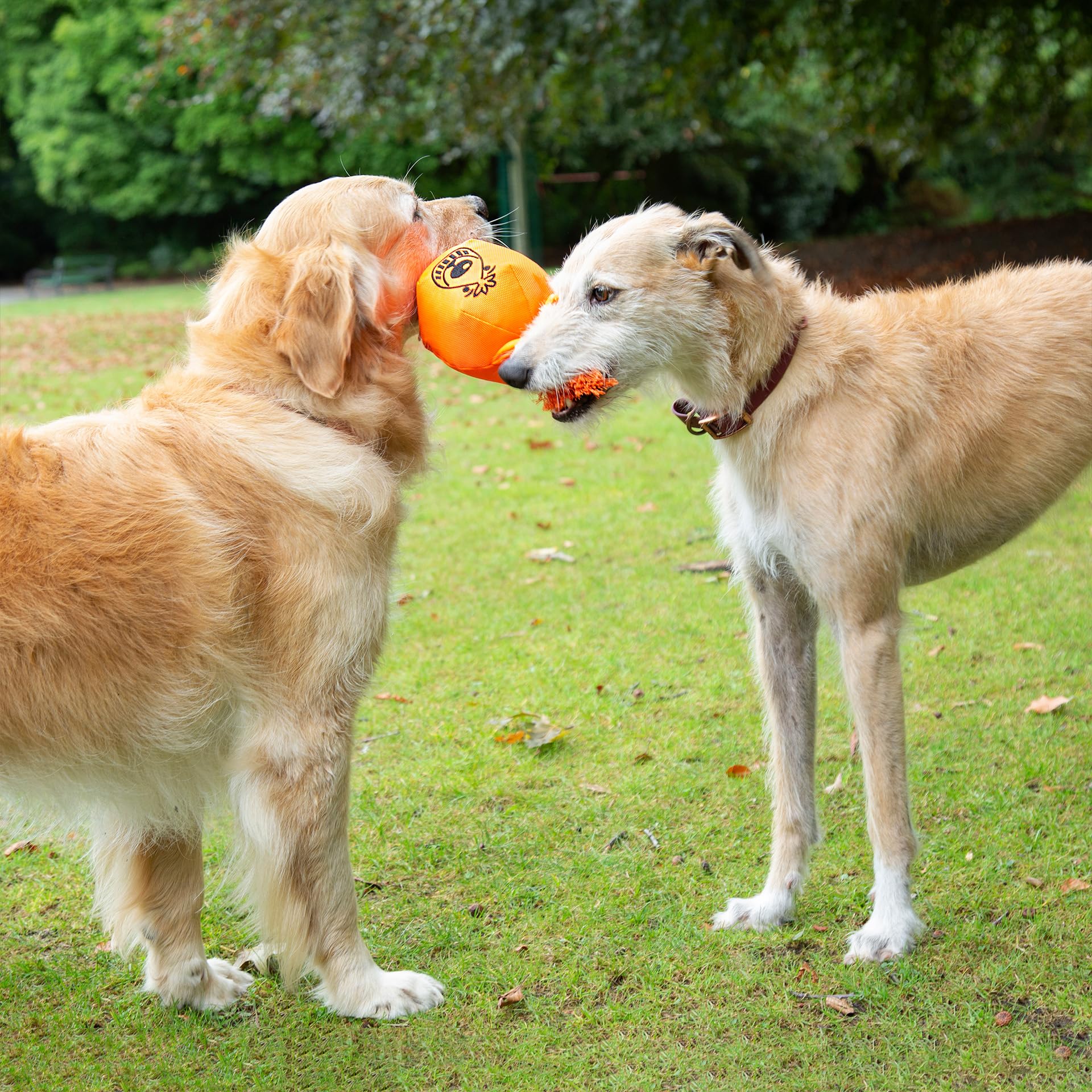 Good Boy - Juguete para Perro con Cuerda para Jalar - Juguete Interactivo muerde jala y estira - Juguete Suave para Perro - Juguete de Material Resistente