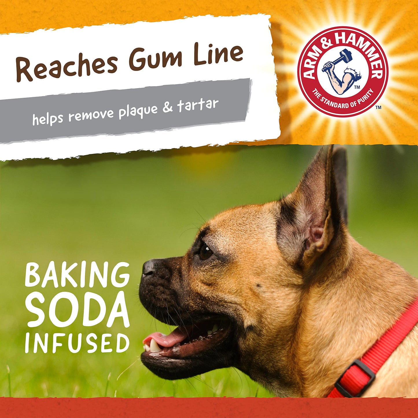 Arm & Hammer Juguete para Perro Mini Gorilla, Limpia Dientes y Reduce Sarro, Ultra Resistente, 1pza