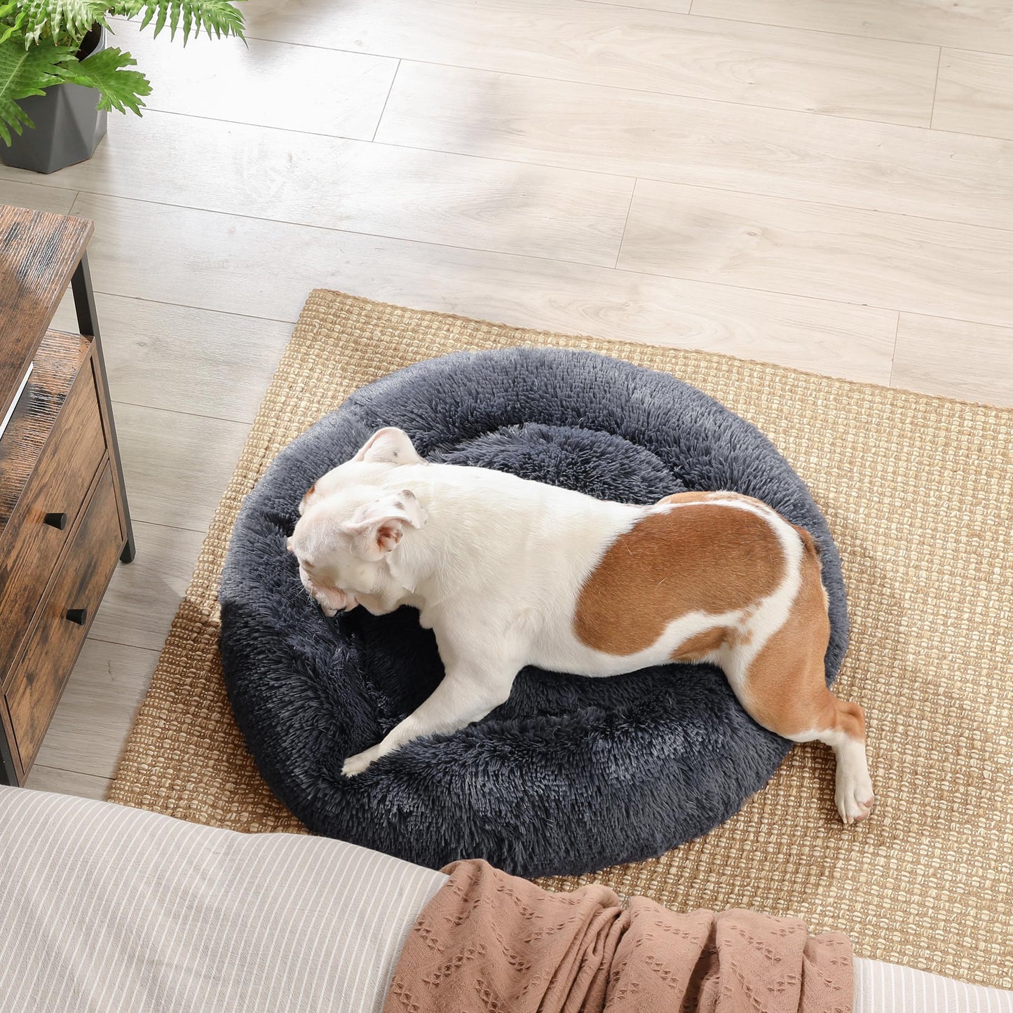 Cama de Perros Feandrea Gris Oscuro con Cojín Central Extraíble y Lavable