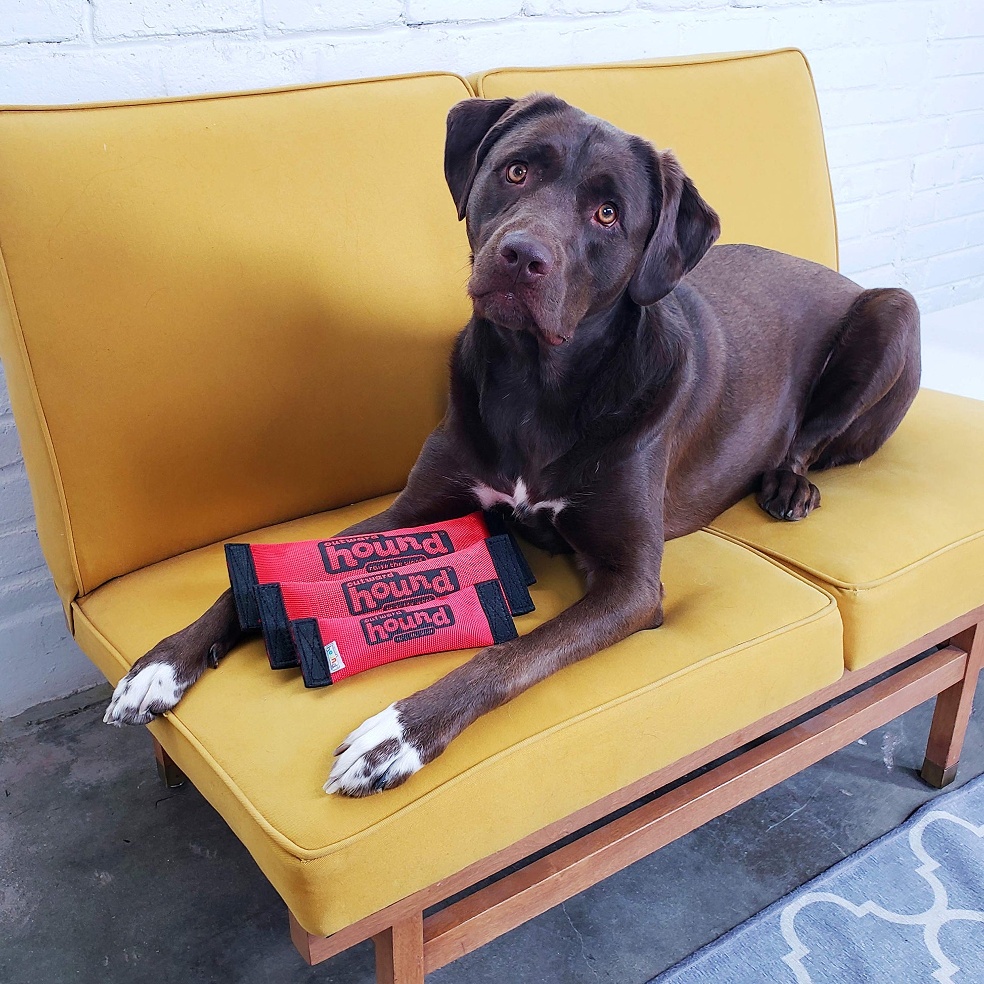 Juguete para Perros Outward Hound Mediano Firehose Fetch
