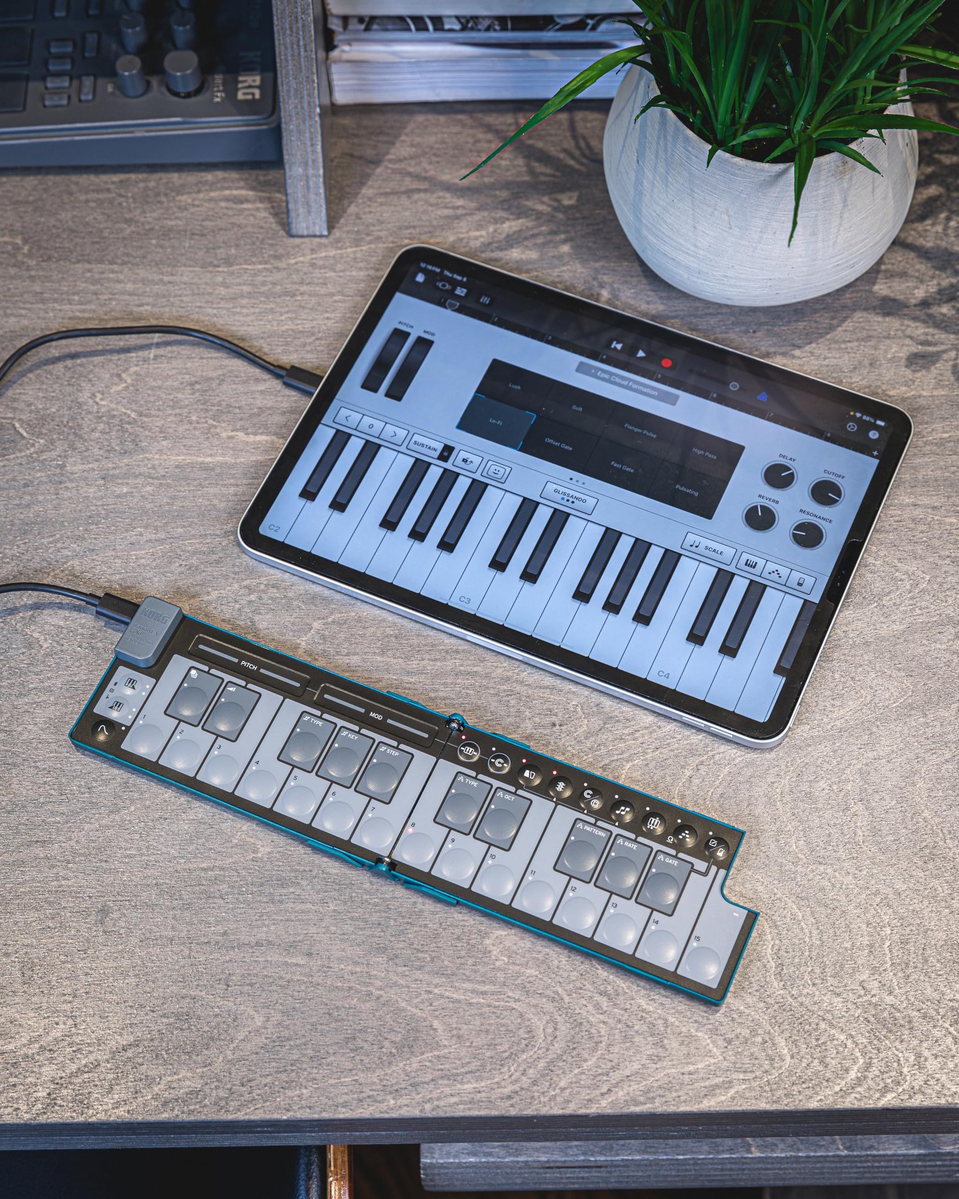 Korg NanoKEY Fold - Controlador plegable de teclado MIDI de 25 teclas con USB-C y TRS-MIDI, verde alpino