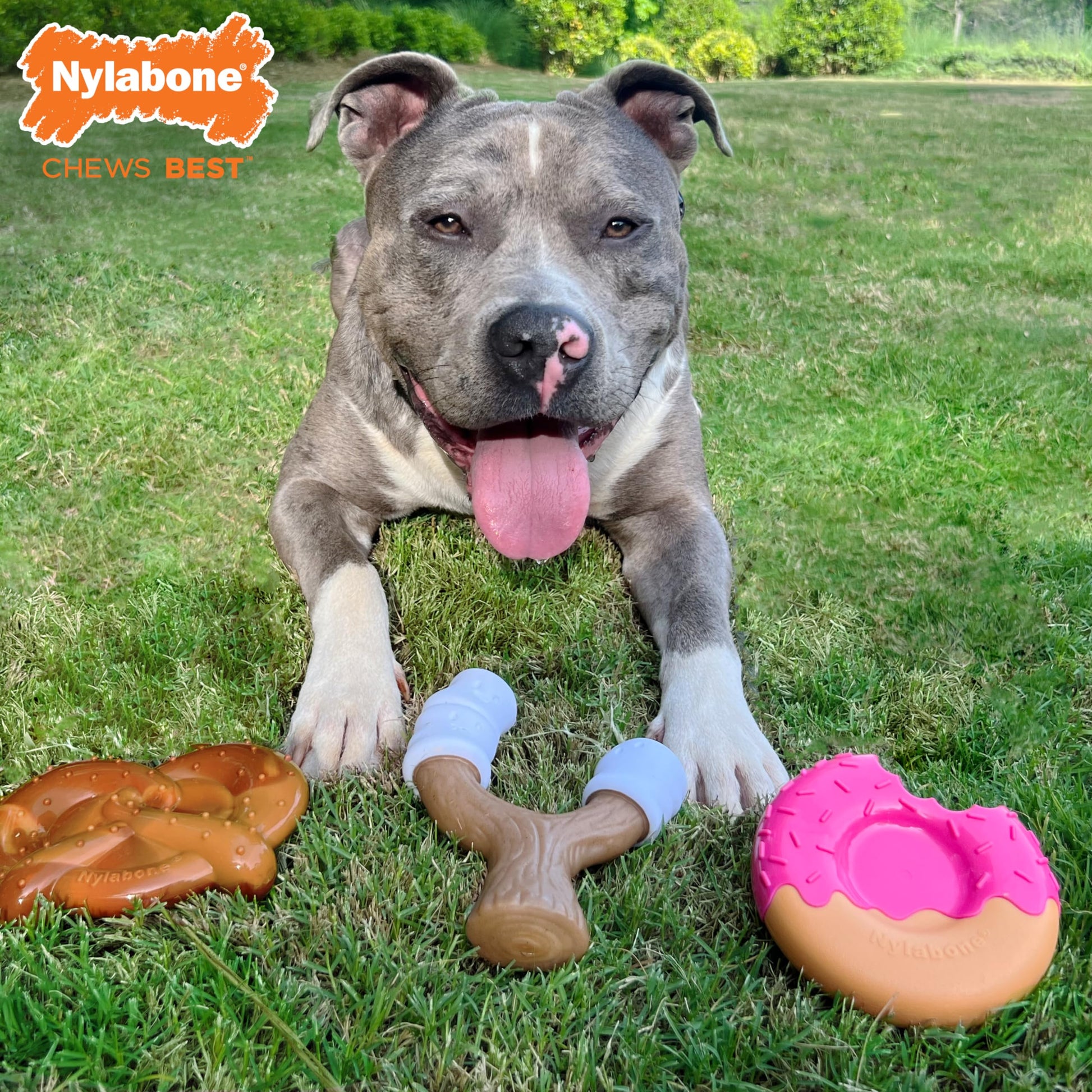 Juguete Masticable Nylabone Tocino y Mantequilla de Cacahuete Diversión para Perros Extra Grandes