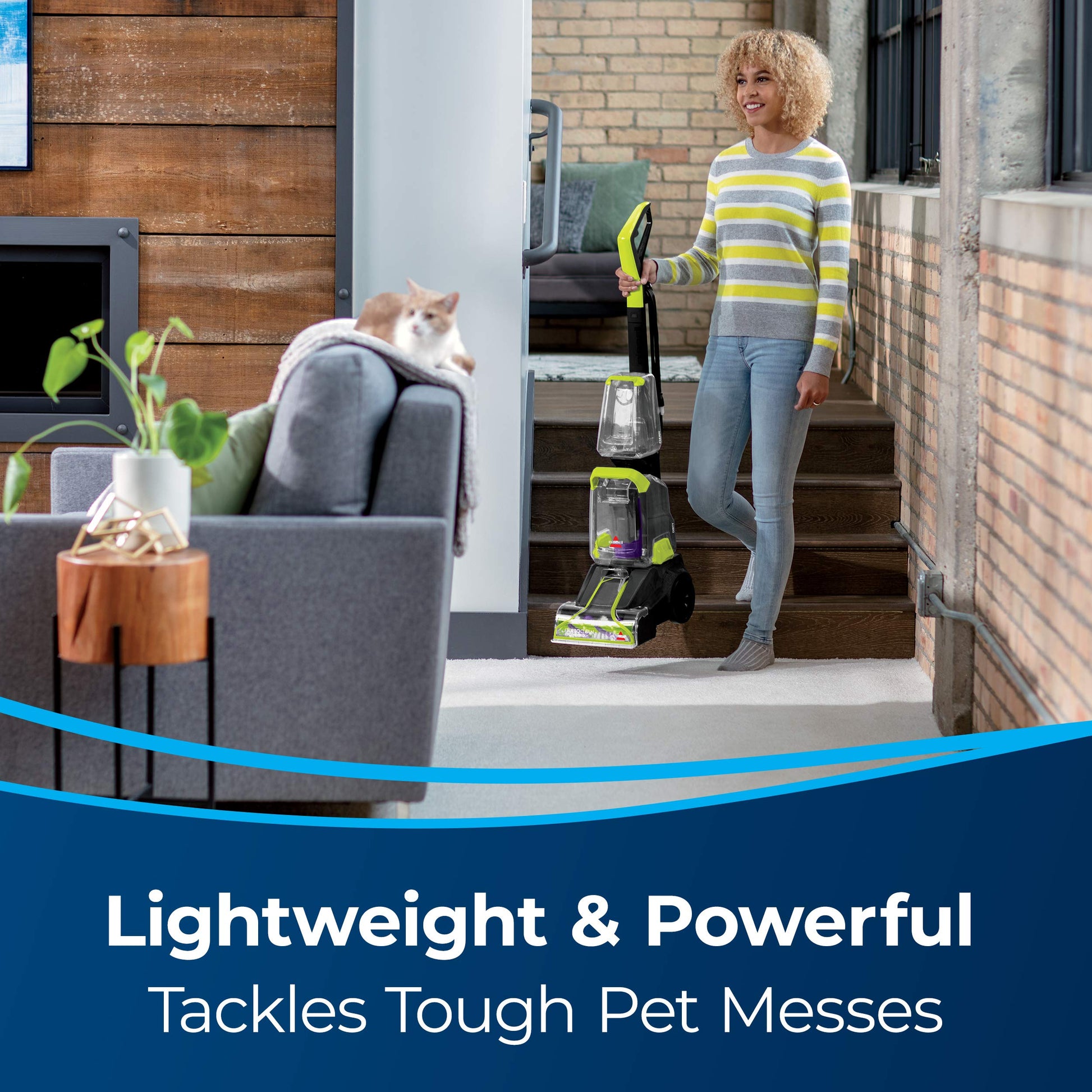 Bissell TurboClean PowerBrush Limpiador de alfombras para mascotas, 2987