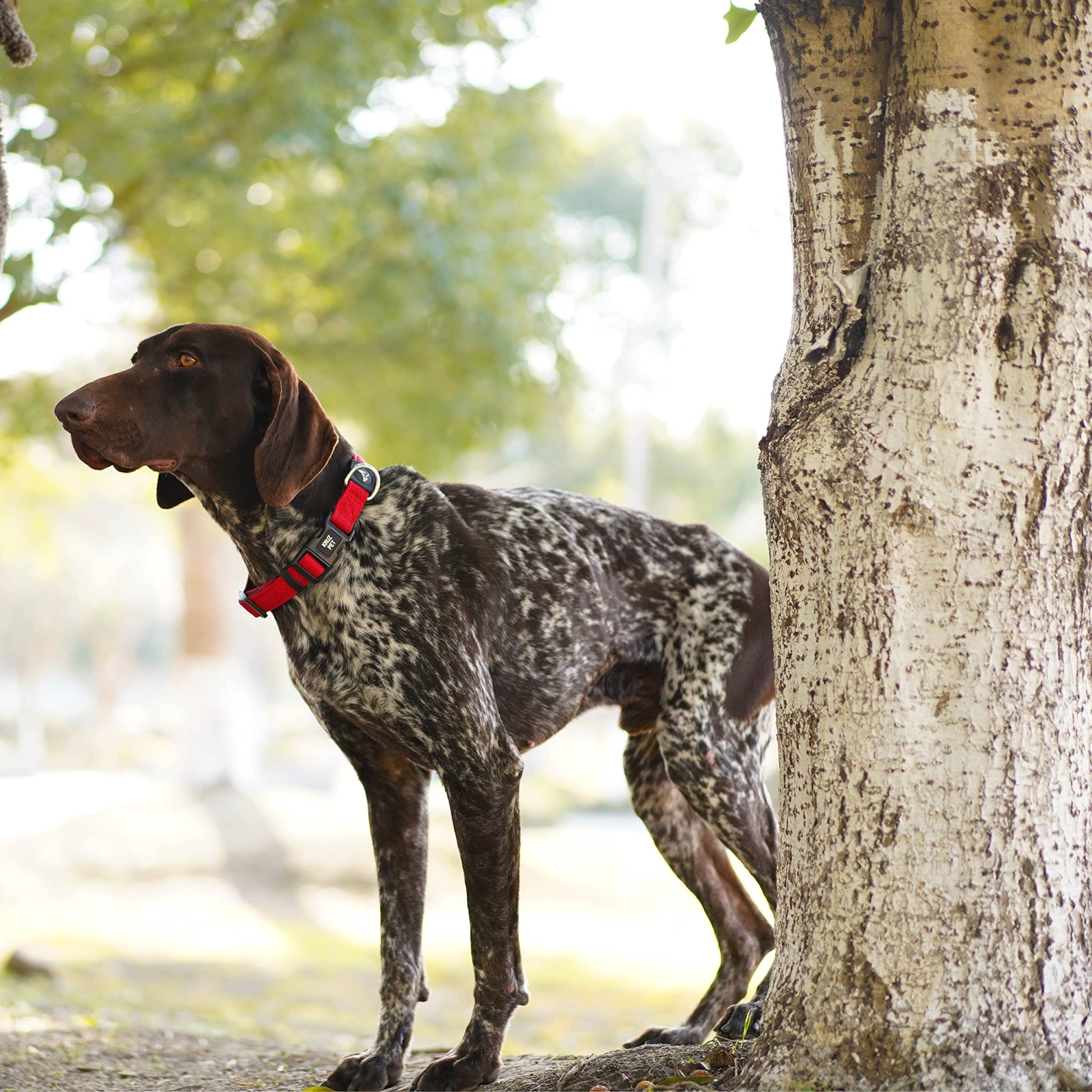 KRUZ PET KZA102-18S Collar de Malla para Perros pequeños, medianos y Grandes, Cuello de Cuello Ajustable, Suave, Ligero, Transpirable, Ajuste cómodo, Rosa Frambuesa, S