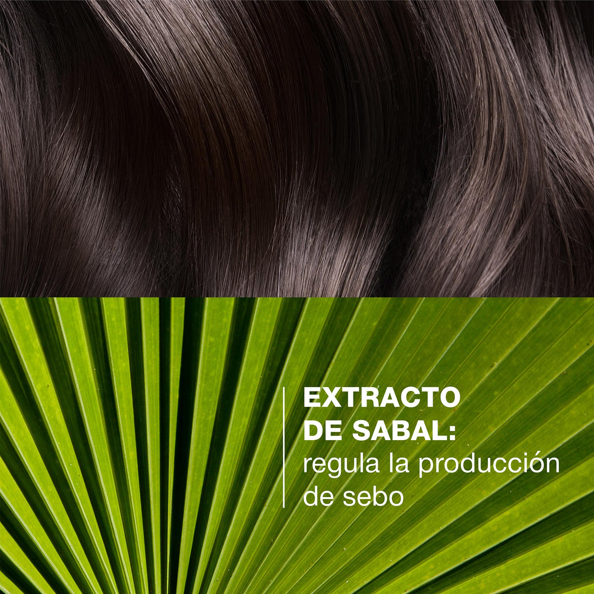 DUCRAY, Sabal Shampoo Tratante Seborregulador, Controla la Producción de Sebo, Cabello Graso, 200ml