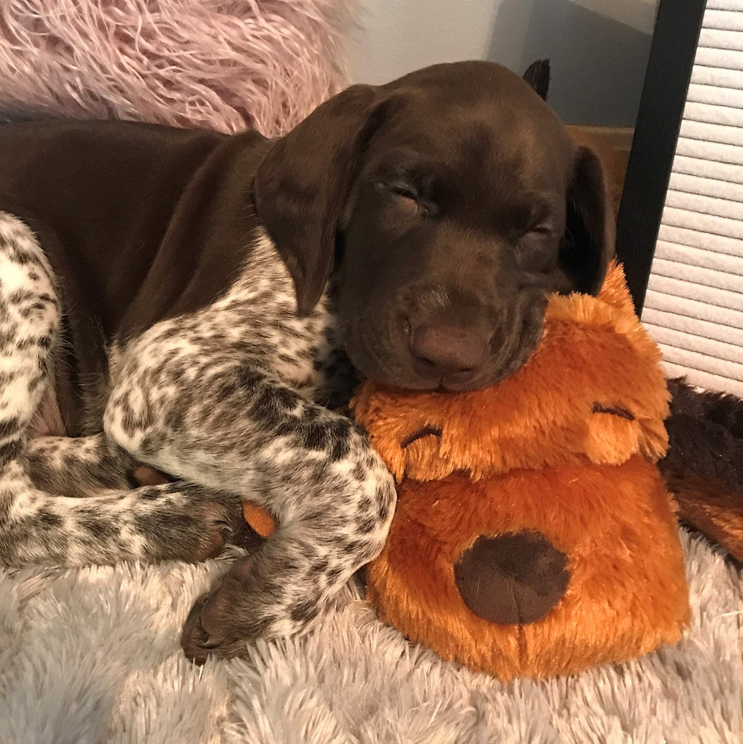 Juguete de Ayuda Conductual SmartPetLove Snuggle Puppy marrón Mutt