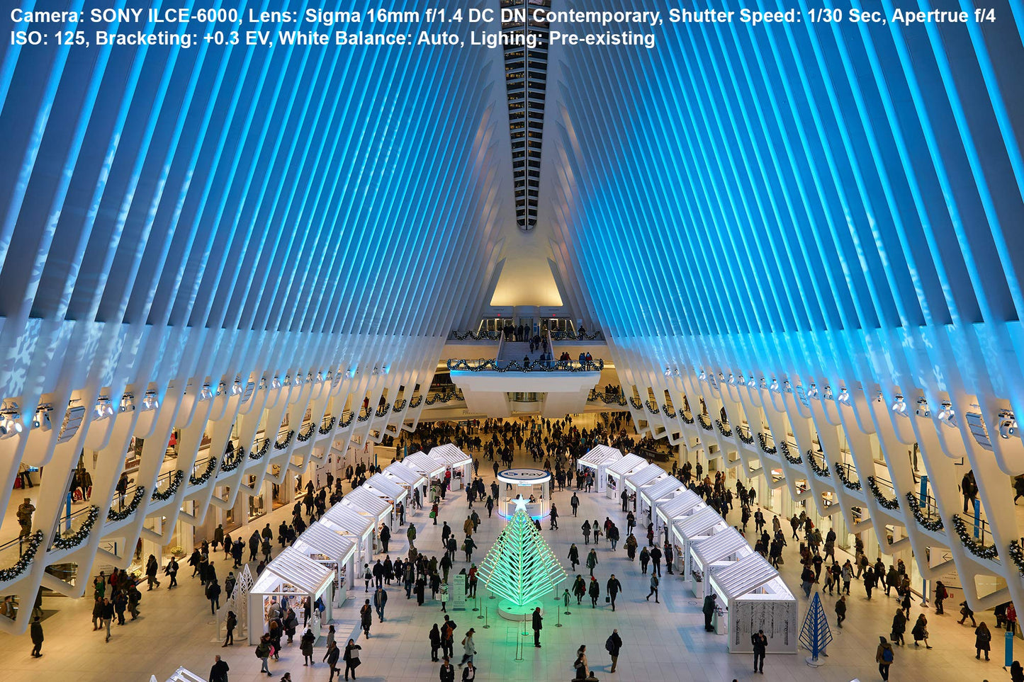 Lente Sigma 16mm F1.4 DC DN Contemporary Montura Canon M