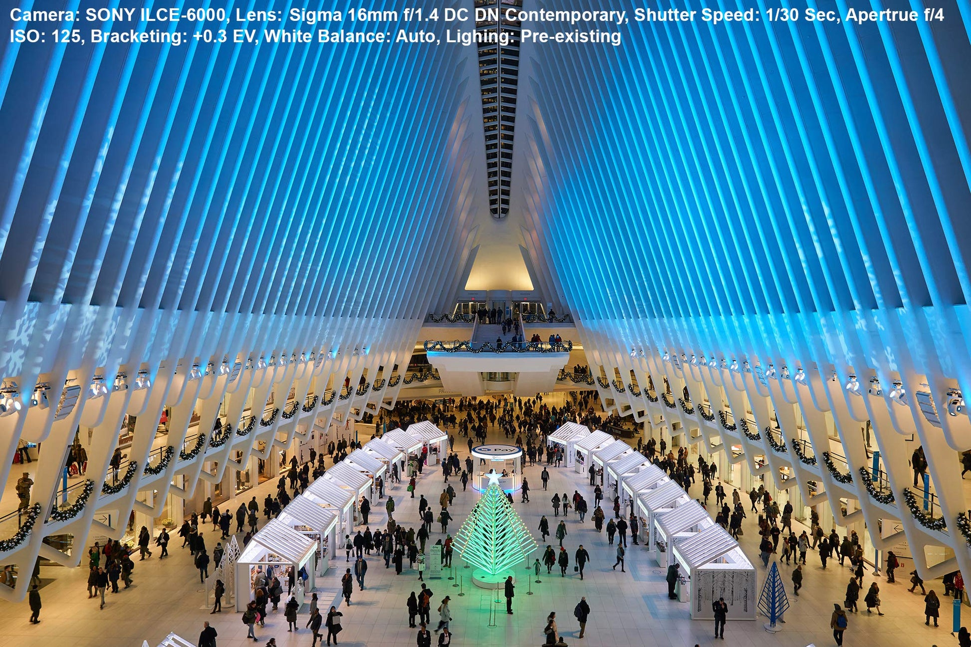 Lente Sigma 16mm F1.4 DC DN Contemporary Montura Canon M