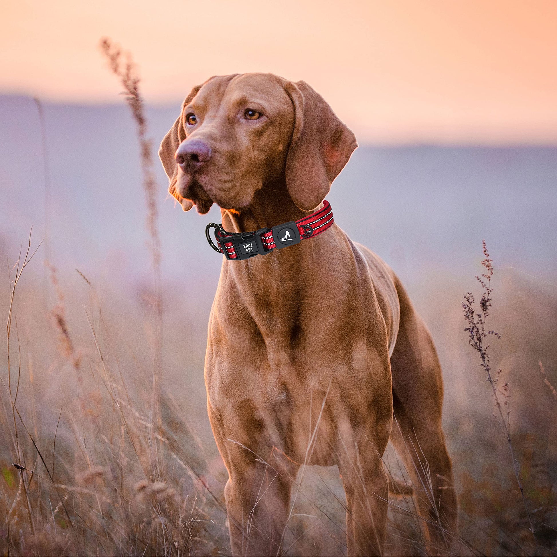 KRUZ PET KZV006-05M - Collar Reflectante para Perros pequeños, medianos y Grandes, 100% Nailon, Ajustable, Junta tórica Resistente, Acolchado de Neopreno Suave y cómodo, Color Gris, Talla M