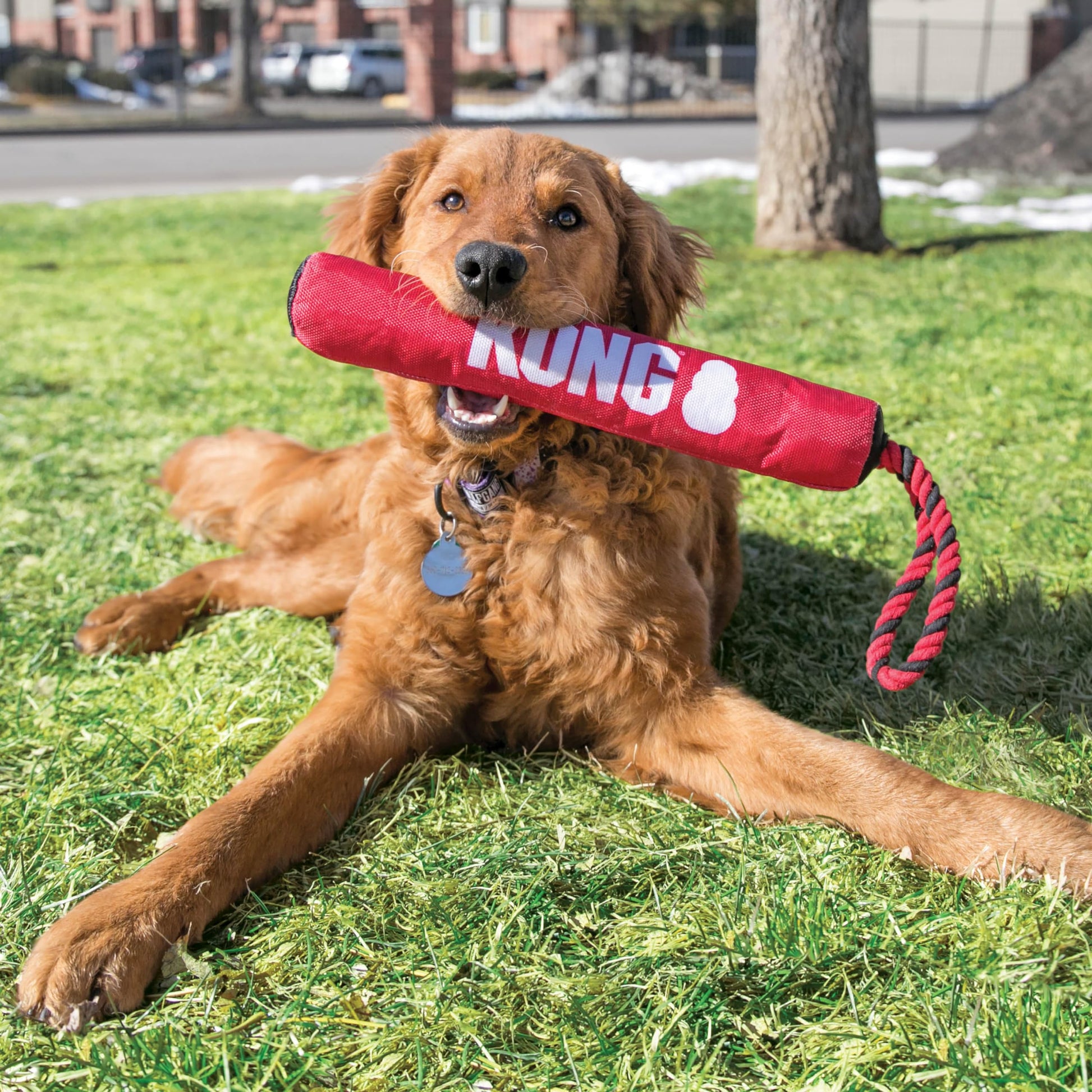 KONG Juguete Palo De Firma con Cuerda para Perro