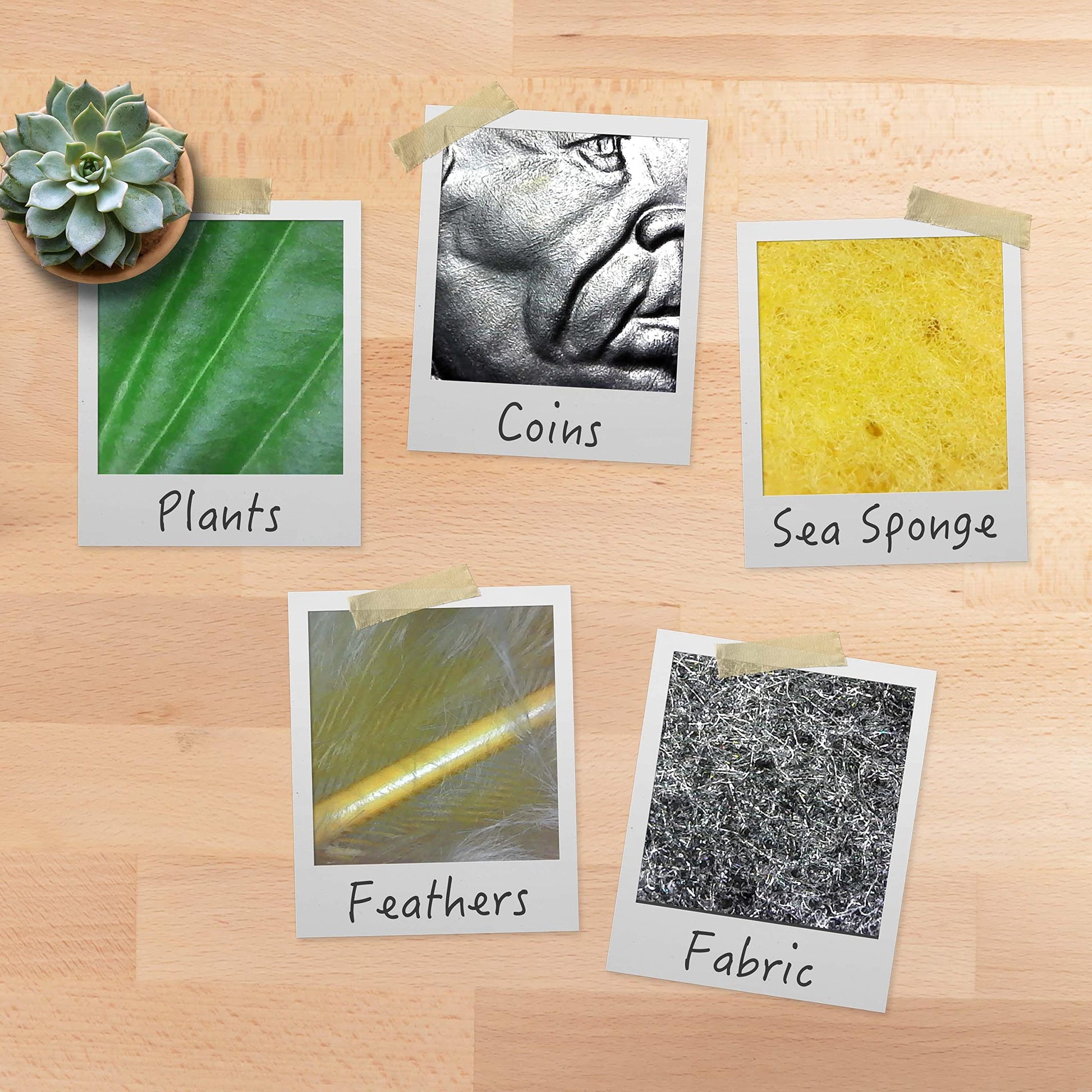 Microscopio Digital USB Plugable Brazo Flexible Compatible con Windows, Mac, Linux 2 MP 250x Aumento