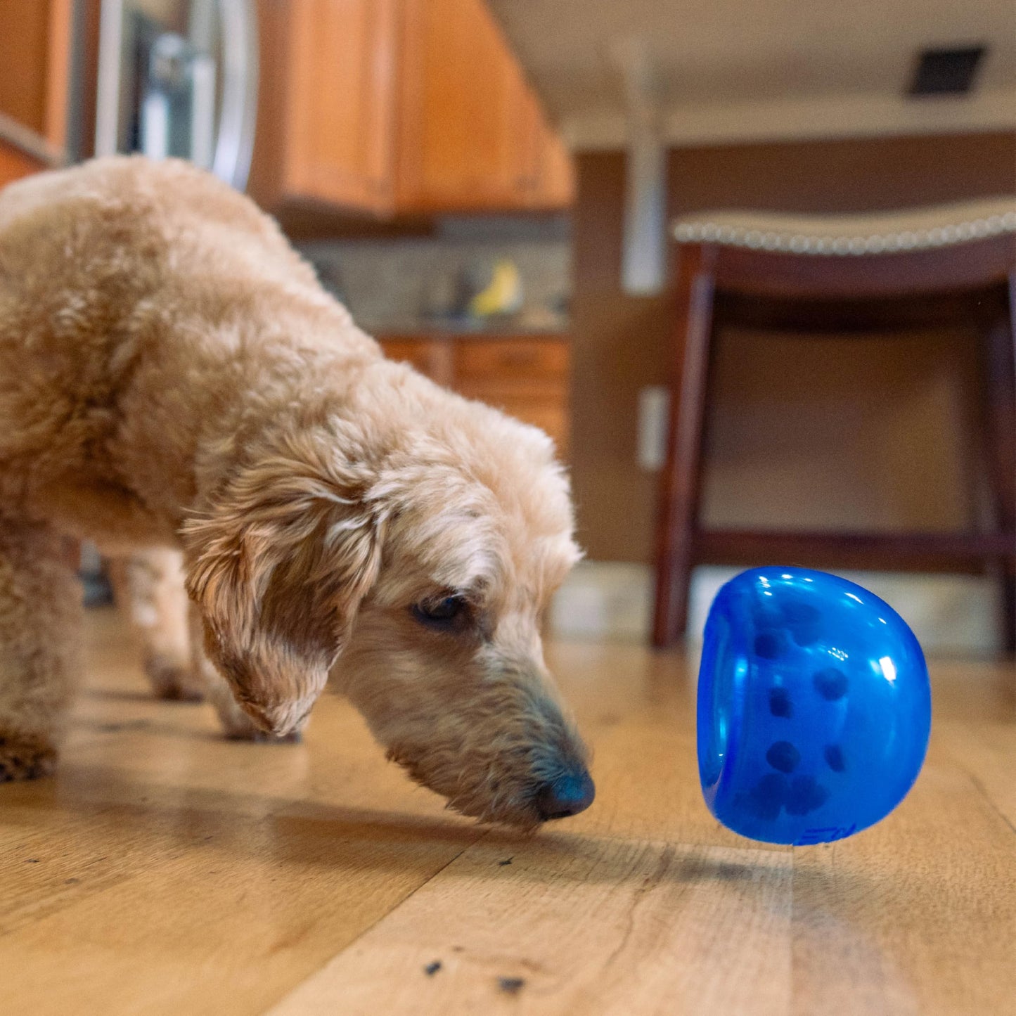 Juguete Interactivo Planet Dog Orbee-Tuff Azul Real dispensador pequeño para Perro