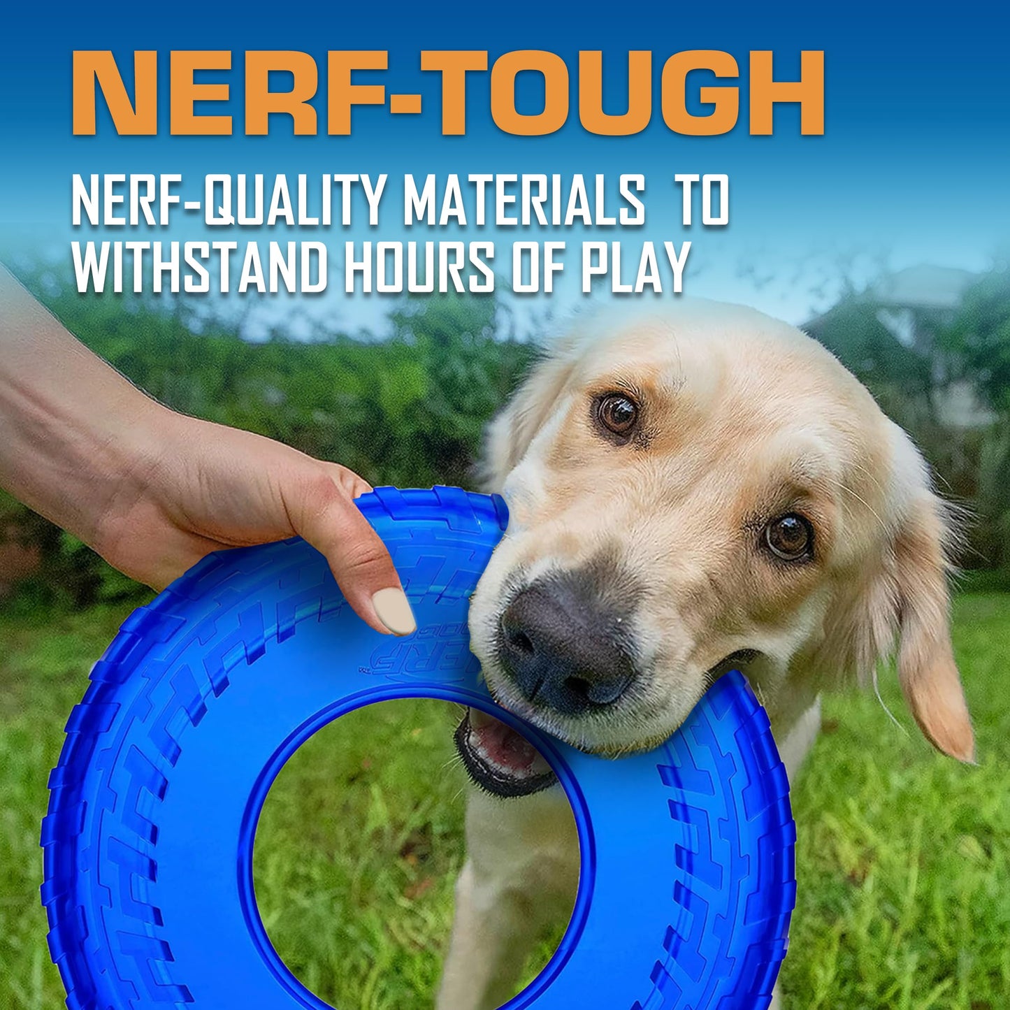 Juguete de Goma Nerf Rojo Verde Azul Disco Volador Flotante Duradero para Perro