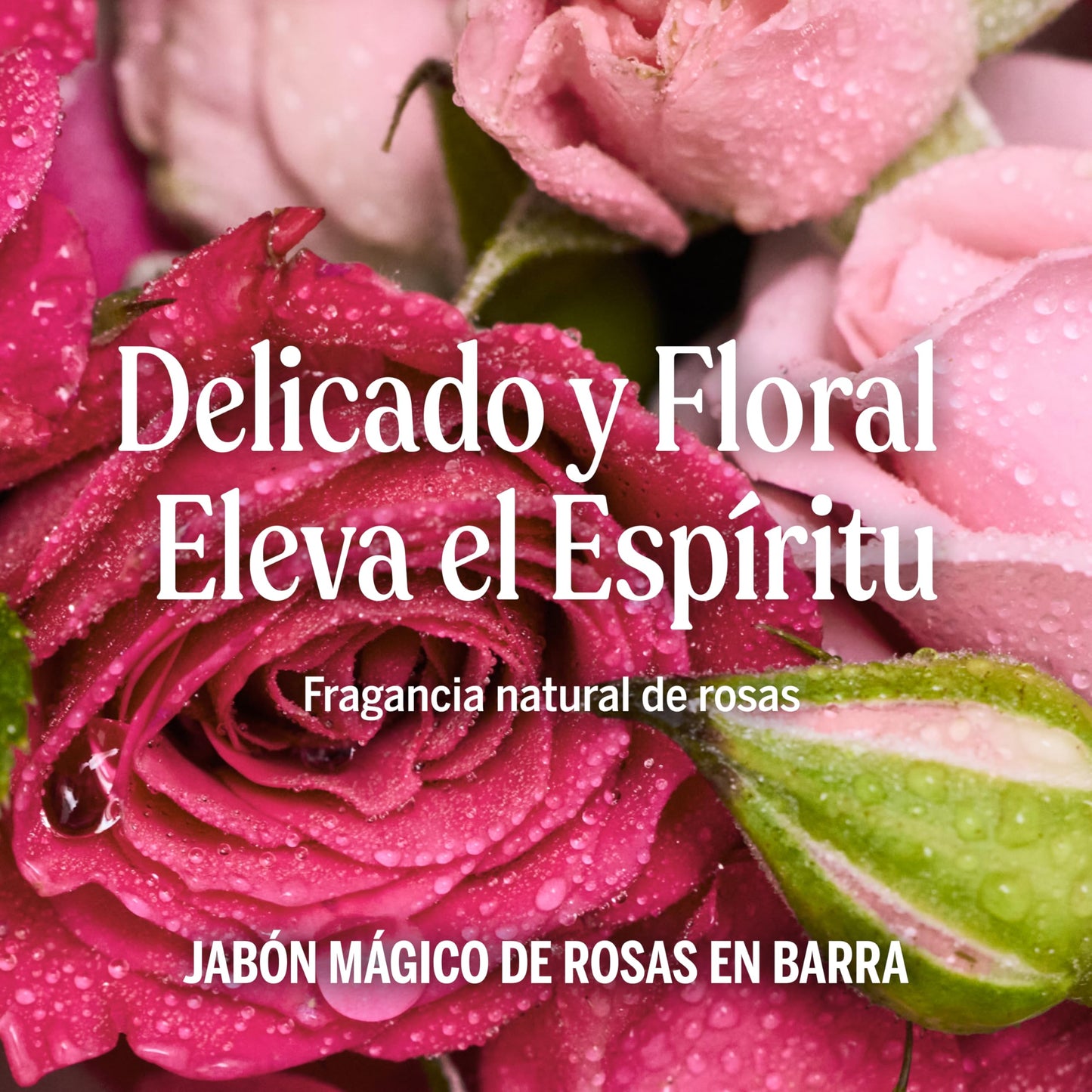 Dr. Bronner's | Jabón de castilla orgánico en barra, fórmula concentrada, fragancia floral y suavidad natural, con aceite esencial de Rosas, aroma Rosas (2 pack)