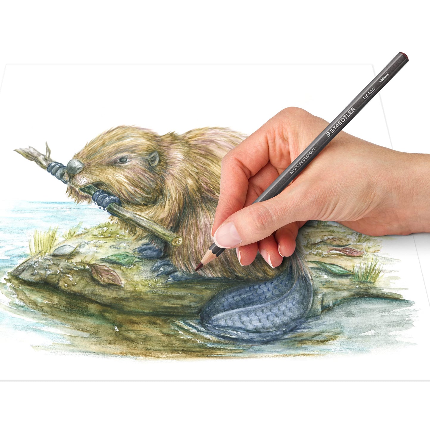 Staedtler - Lápices de grafito tintados solubles en agua, juego de acuarela, preafilados, 12 colores en lata de metal, 14610T M12