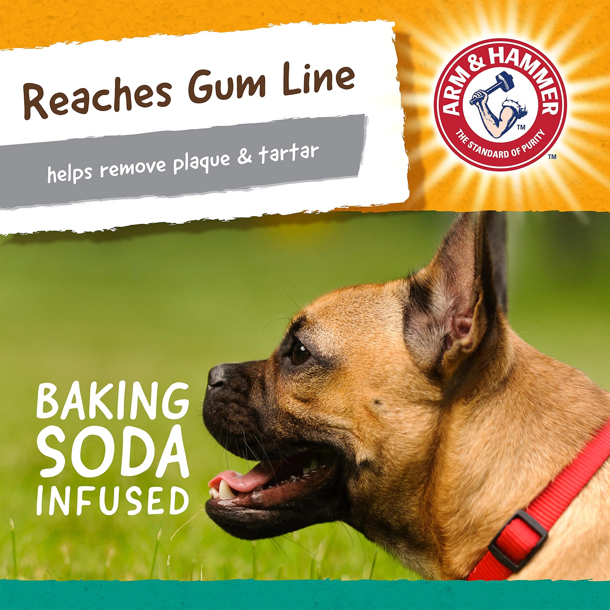 Arm & Hammer, Juguete para Perro de Mantequilla de Mani