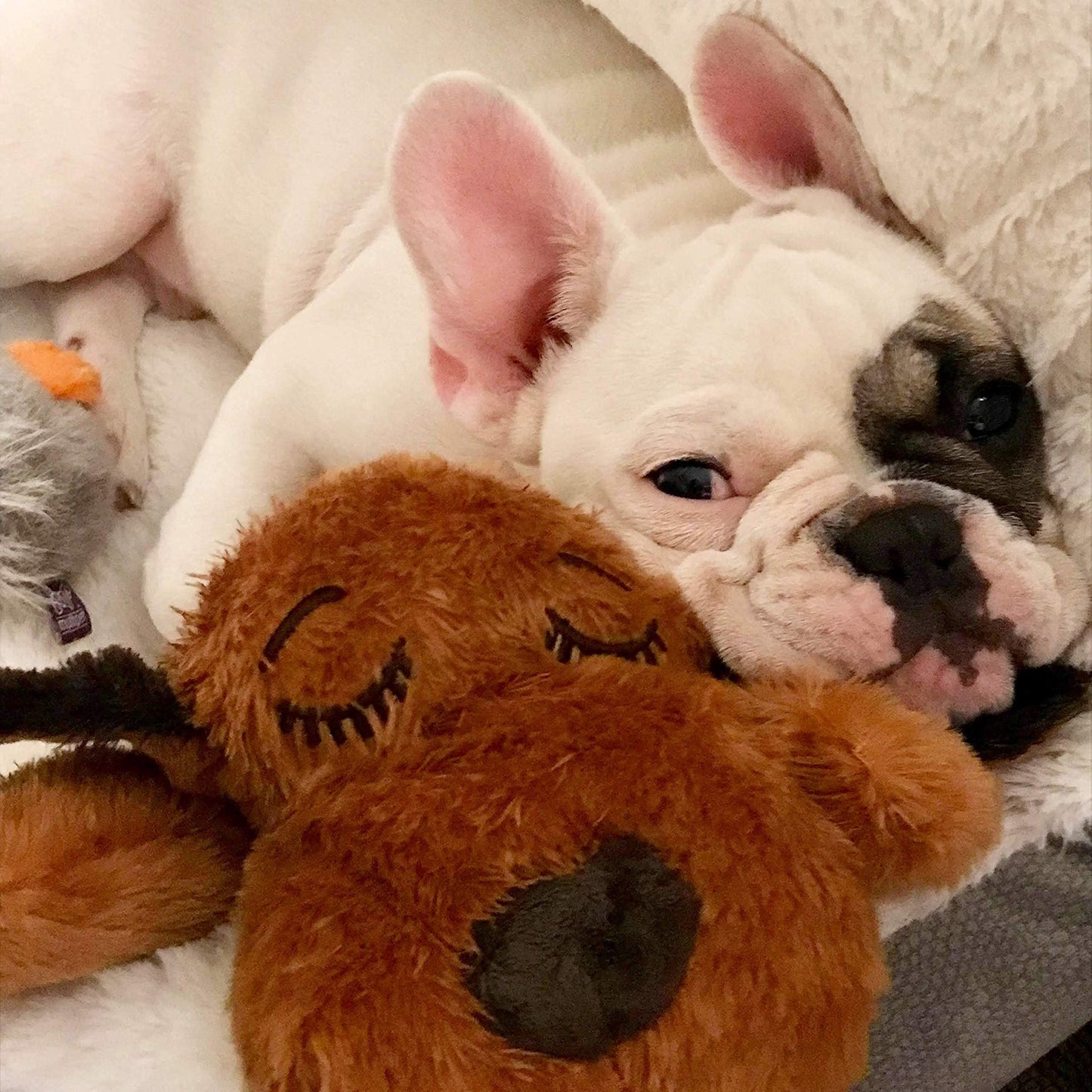 Juguete de Ayuda Conductual SmartPetLove Snuggle Puppy marrón Mutt