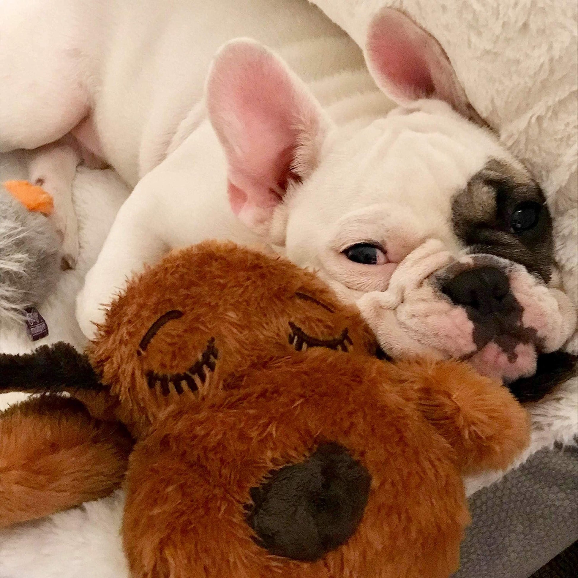 Juguete de Ayuda Conductual SmartPetLove Snuggle Puppy marrón Mutt