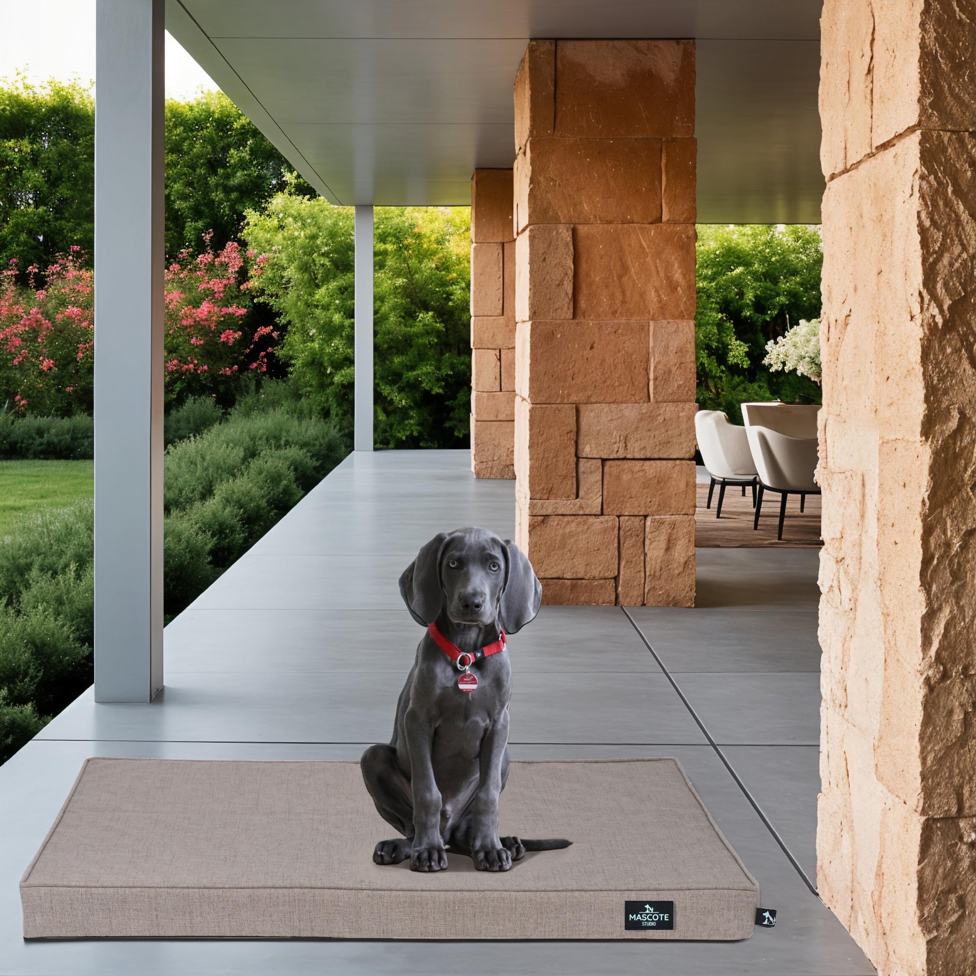 Cama Ortopédica Mascote Studio Bobo para Perro