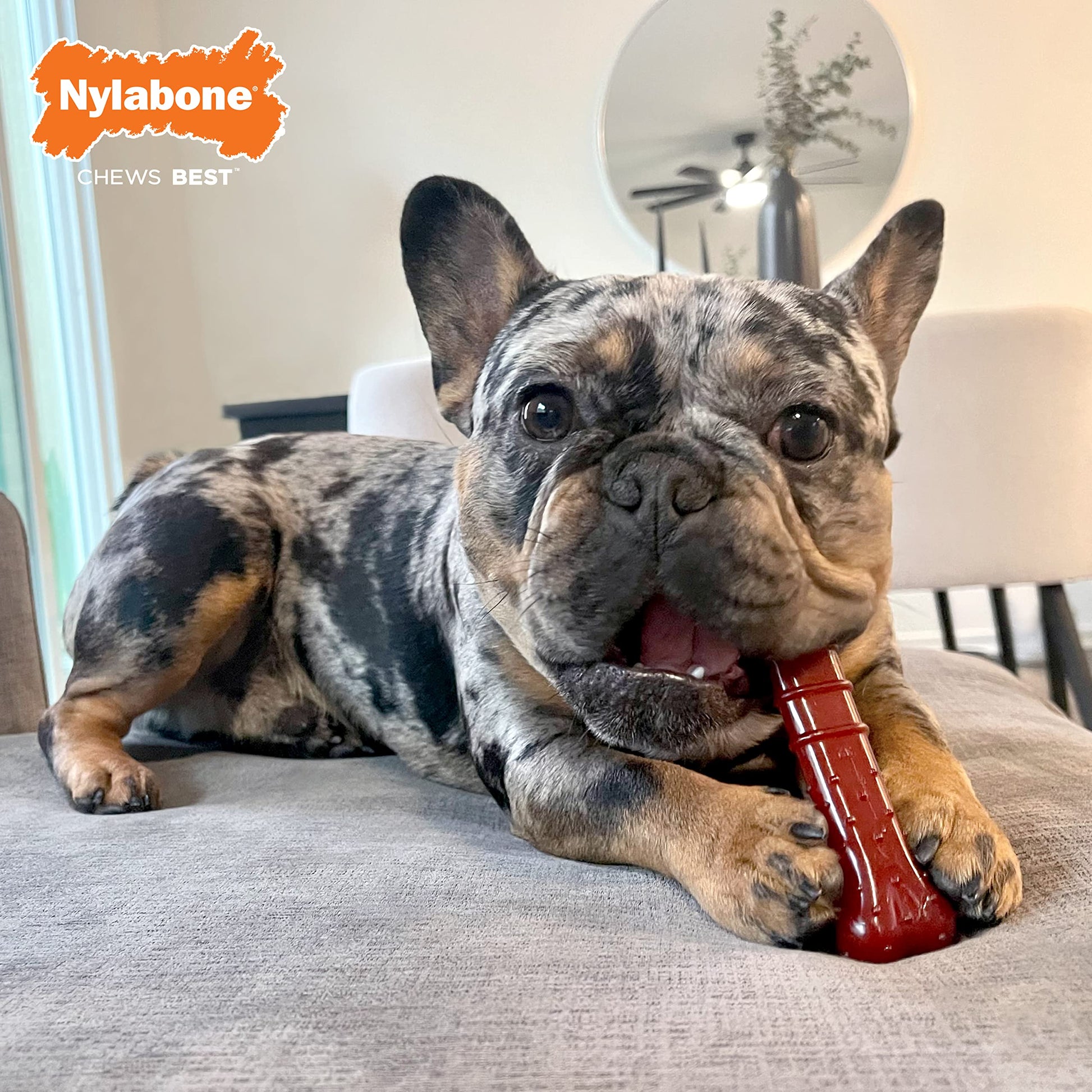 Juguete Masticar Huesos Nylabone Tocino y Sabor a Bistec Mediano para Perros Masticadores Agresivos