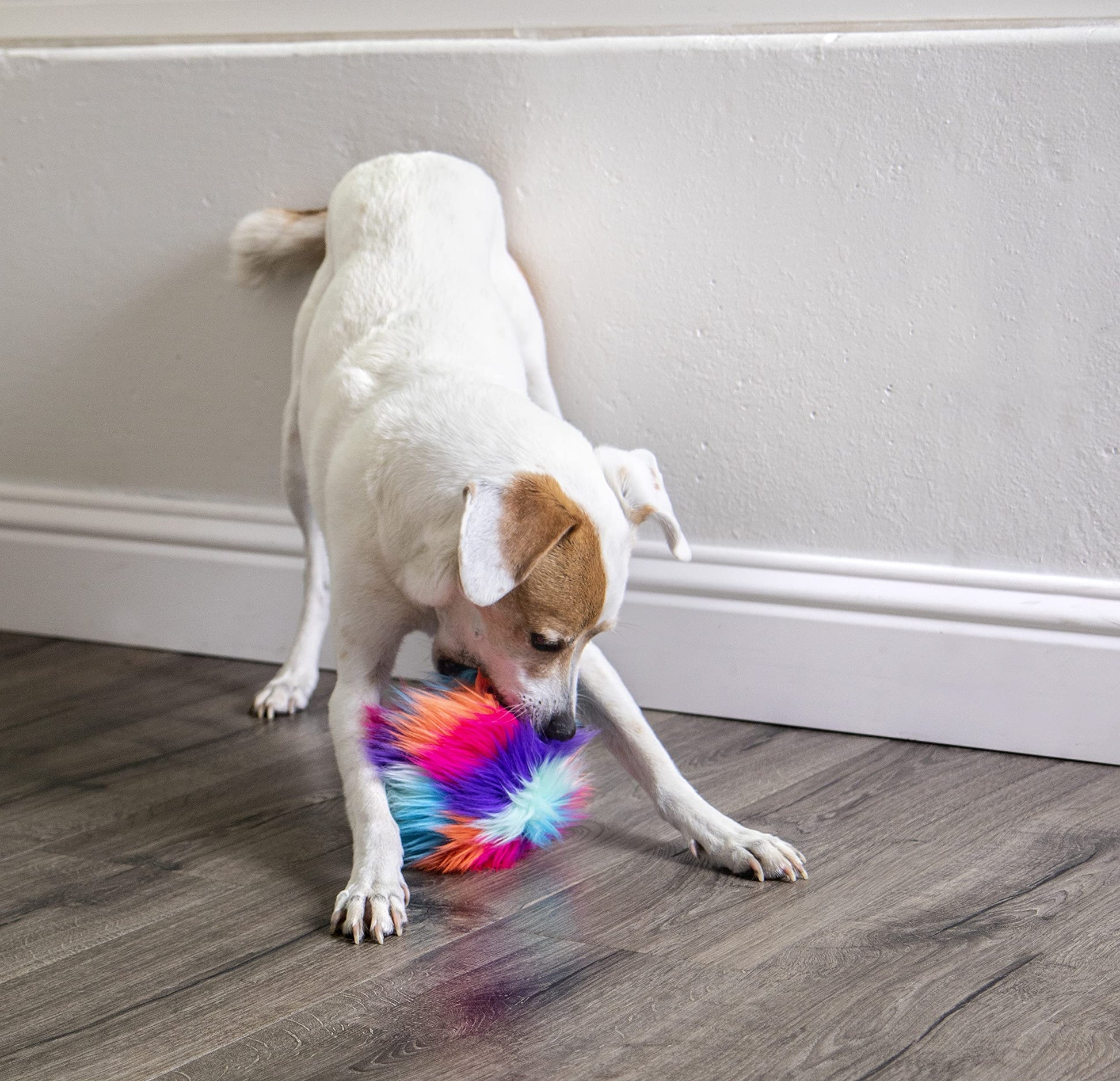 goDog Furballz - Juguete de Peluche chirriante para Perro, tecnología de protección para Masticar, Arco Iris Fresco, pequeño
