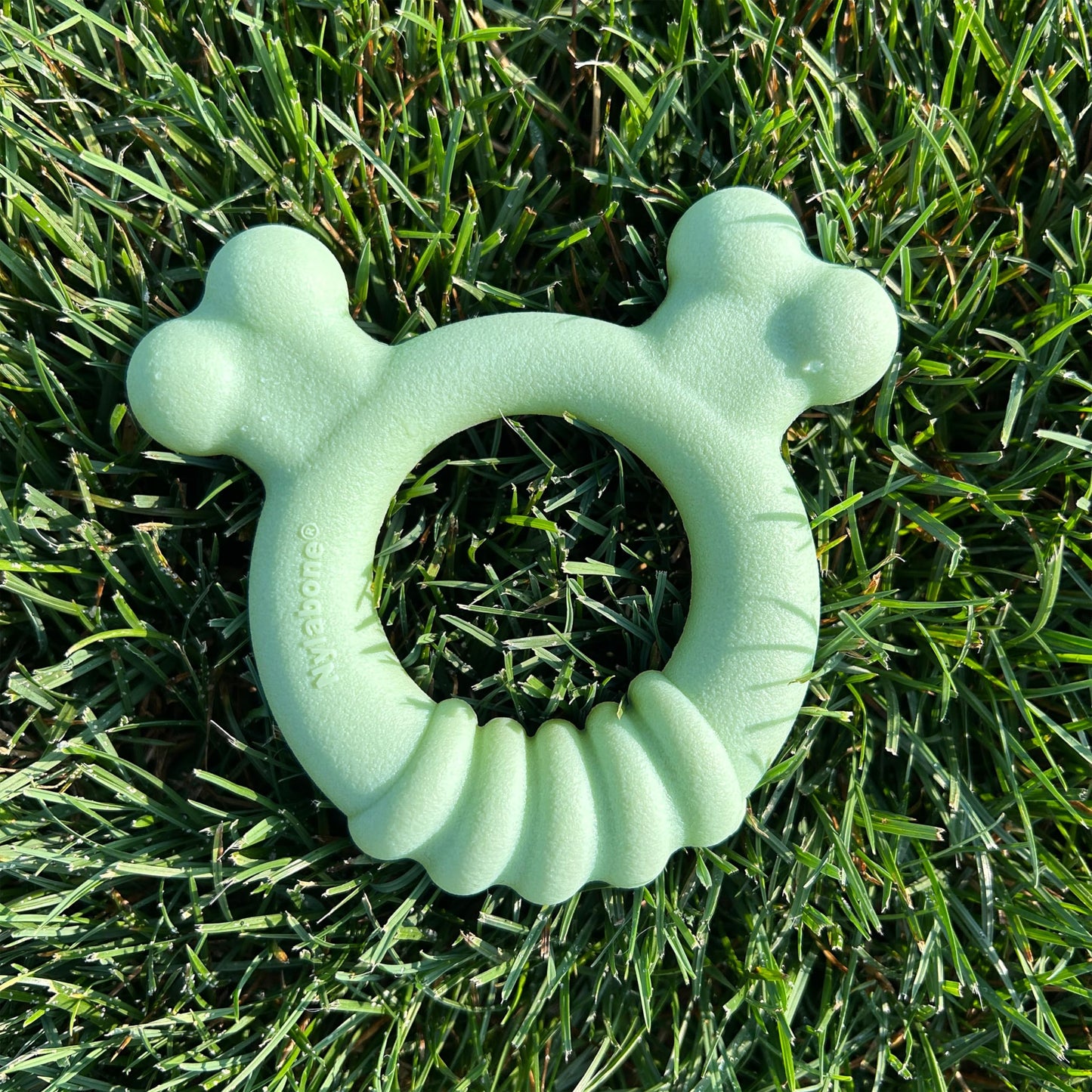 Anillo de Juguete Sensorial Nylabone Sabor a Pollo pequeño para Cachorros