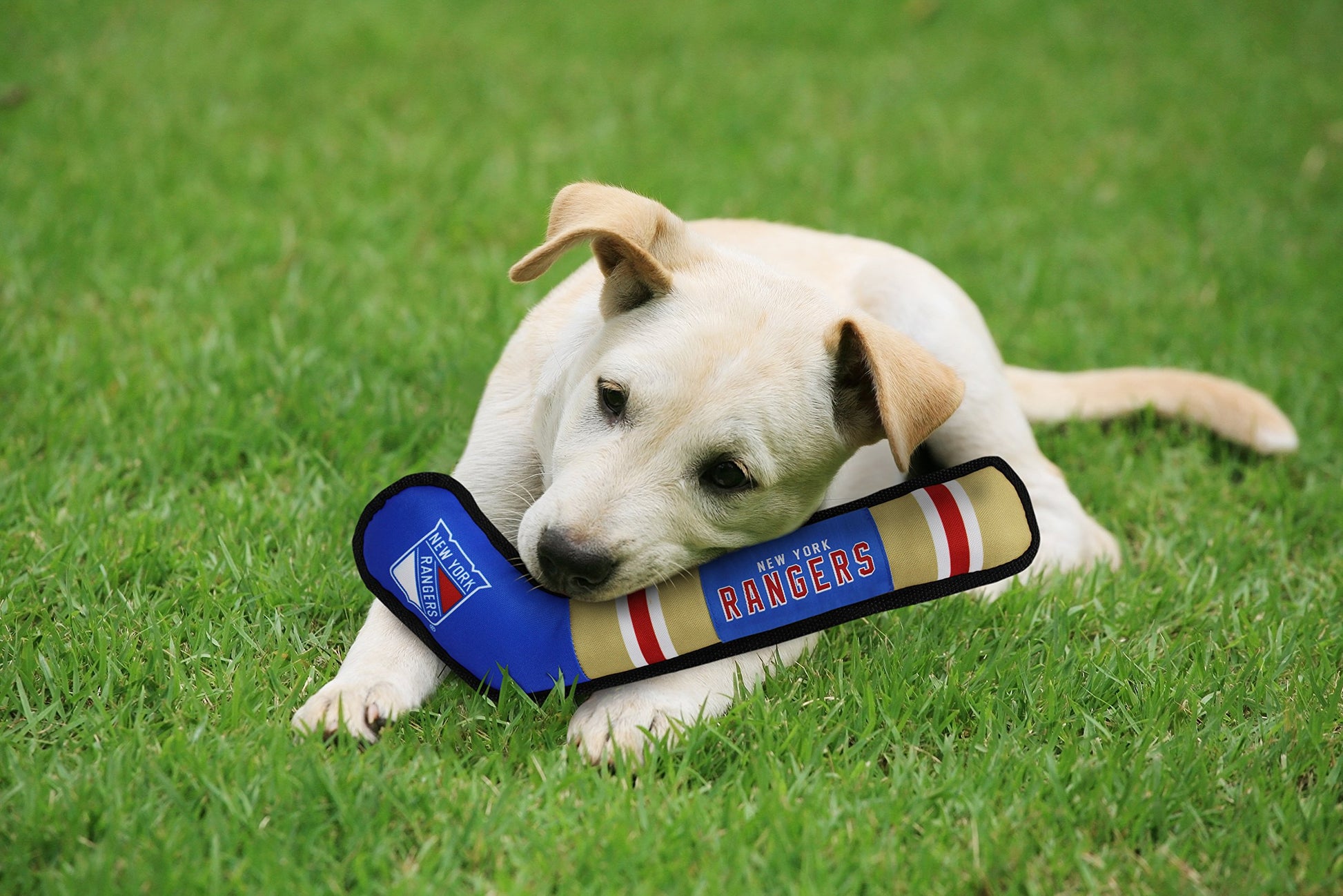 Playera NHL New York Rangers Campeones 2018 para Perros y Gatos