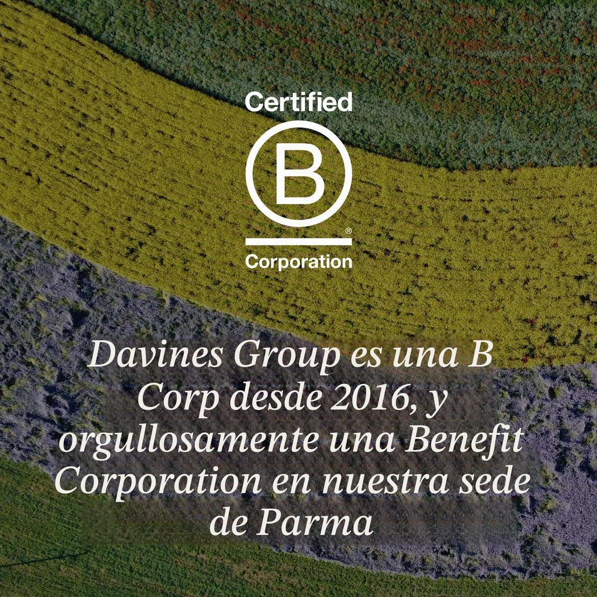 Davines Nourishing Shampoo | Shampoo reparador profundo | 250 ml