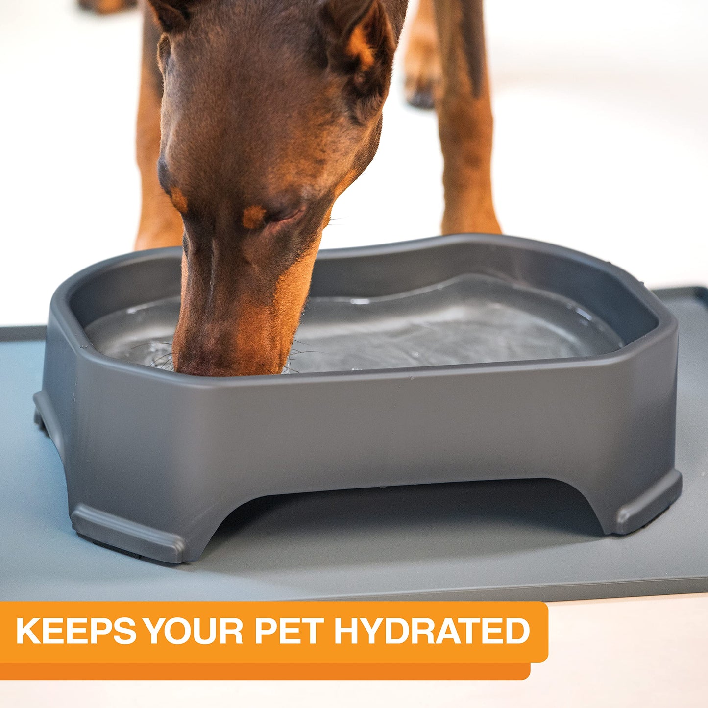 Cuenco de Agua Neater Pet Brands Gris Plomizo Extra Grande para Perros