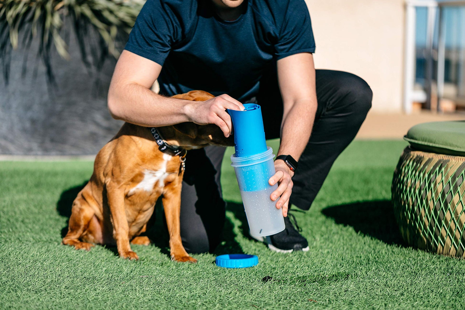 Dexas MudBuster - Limpiador de patas azules portátil grande para perros, suministros y accesorios para mascotas de alta calidad