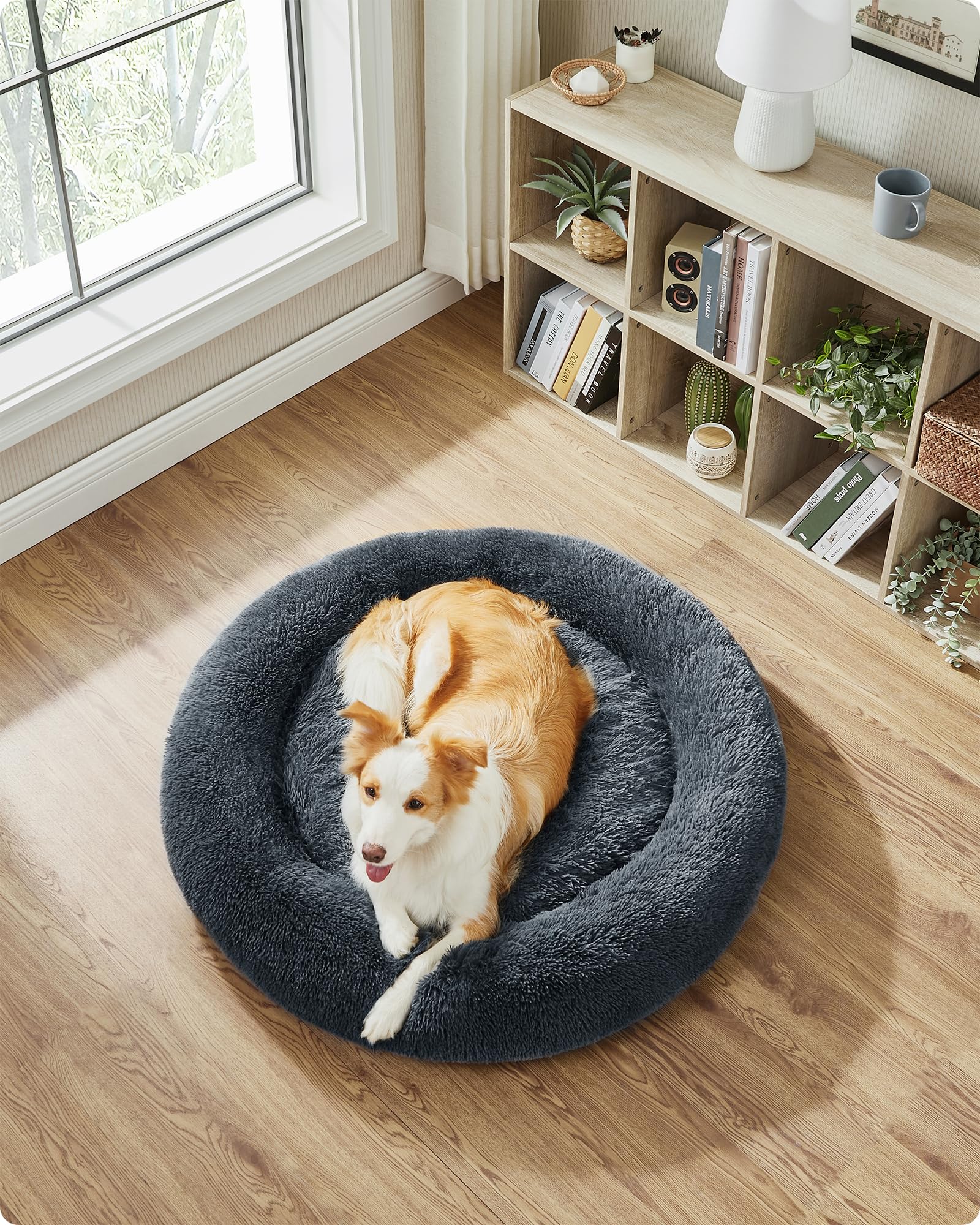 Feandrea Cama de Perros, Cama para Mascotas, Diámetro de 100 cm, Cojín Central Extraíble y Lavable, Alfombra de Felpa, Gris Oscuro MPGW042G02