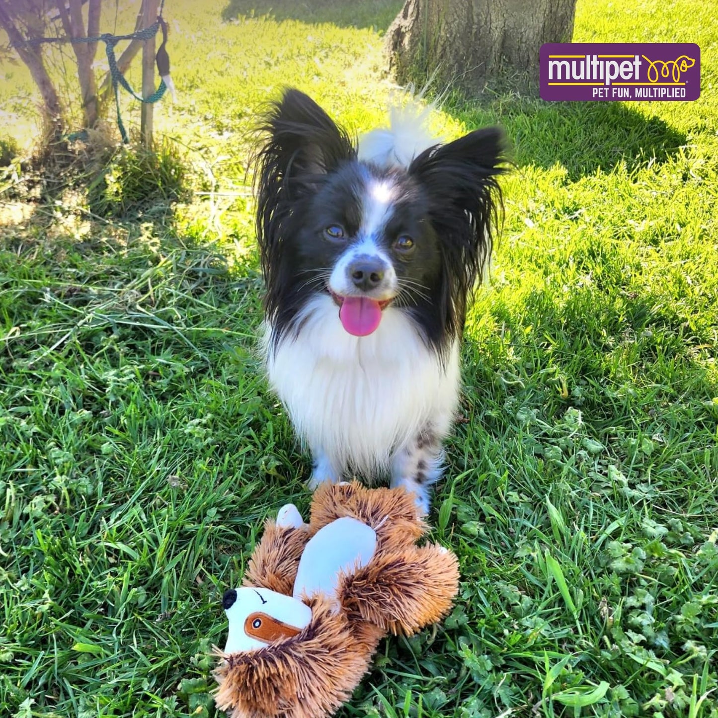 Juguete para Perros Multipet Bark Buddies 25,4 cm