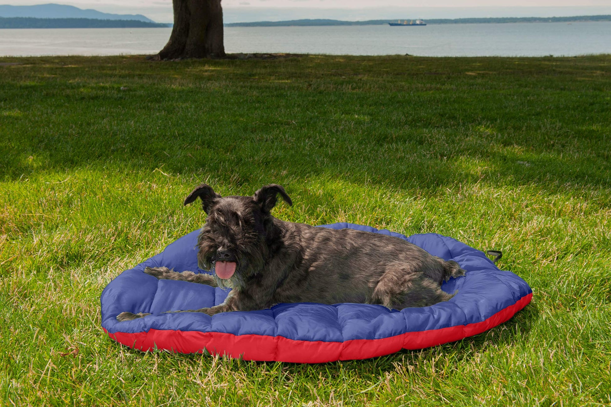 Cama para Perro Furhaven Flame Red True Blue con Almohada de Viaje