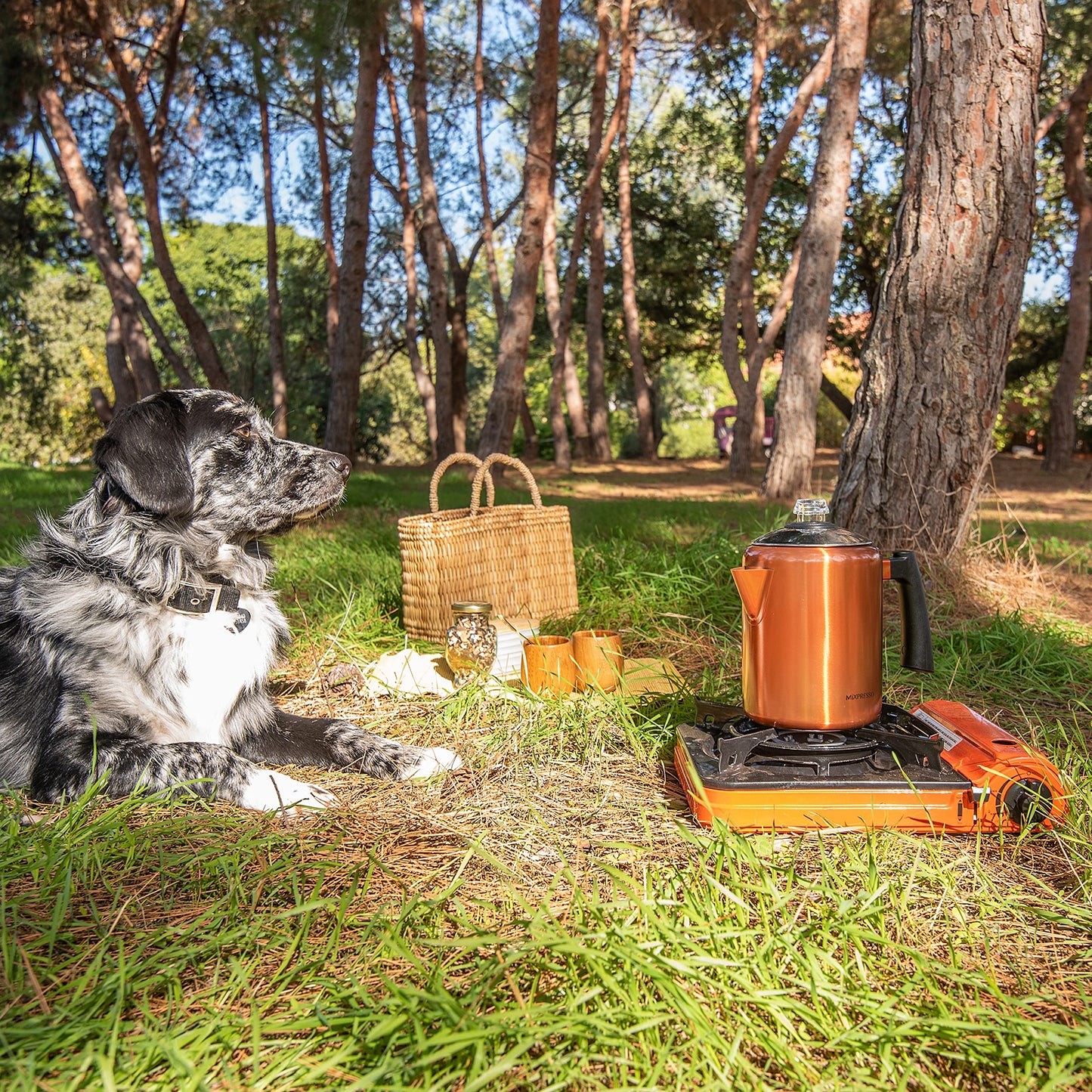 Estufa de Café Mixpresso Acero Inoxidable Cobre Mango de Tacto Frío 30 Onzas