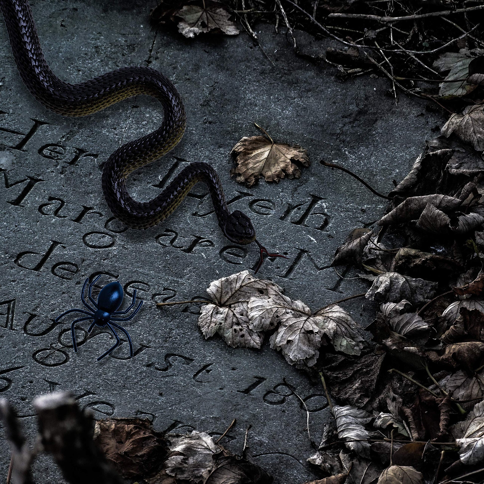 Decoración de Insectos Falsos Whaline para Fiestas Halloween 148 Piezas